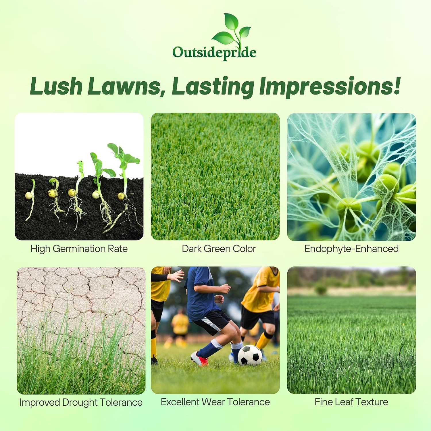 Outsidepride Fireball & Hattrick Rye Grass Seed Blend - 5 Lbs. Wear Tolerant, Fine Leaf Texture Perennial Rye Grass Seeds for Lawn, Sports Turf & More, OptiGrowth Coated for Better Establishment