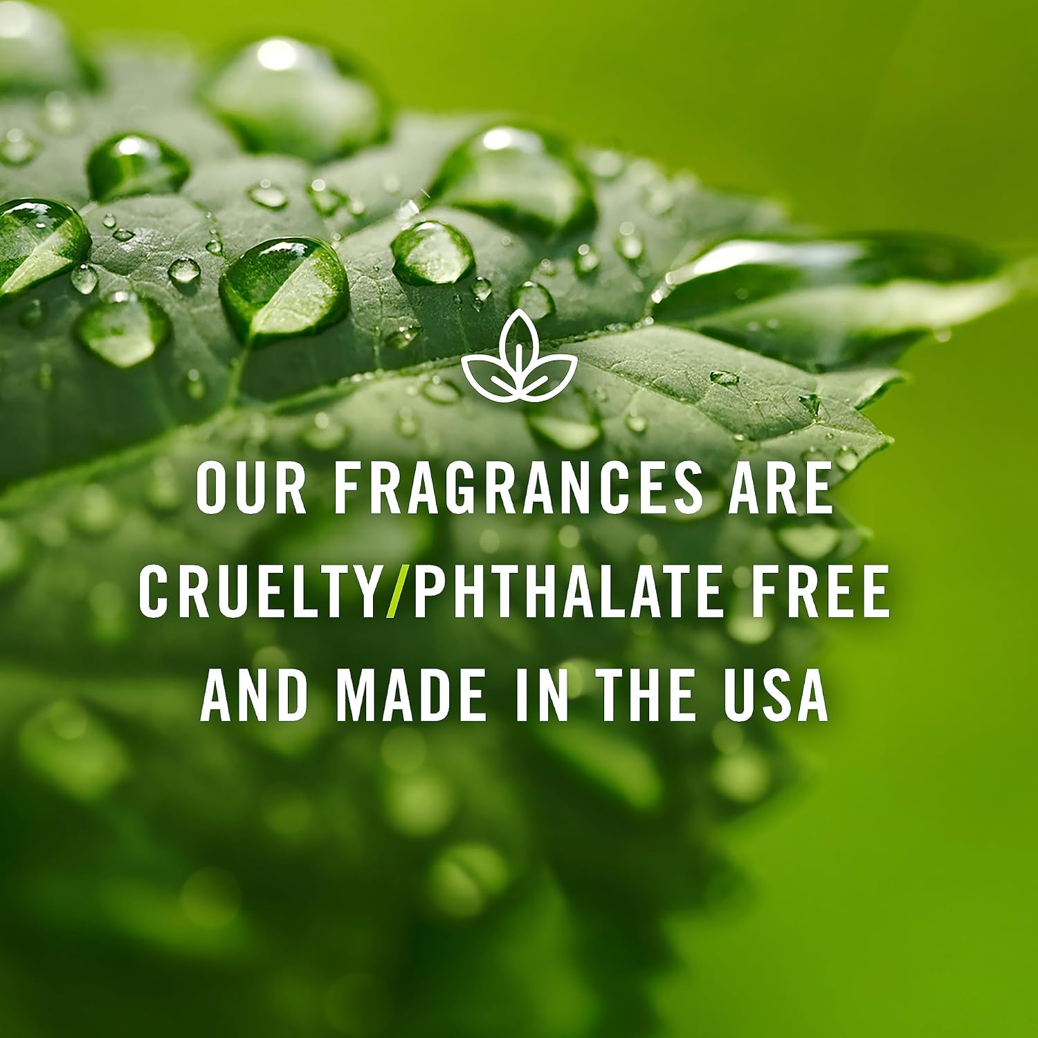 P&J Trading Fragrance Oil | Cedar Oil 30ml - Candle Scents for Candle Making, Freshie Scents, Soap Making Supplies, Diffuser Oil Scents