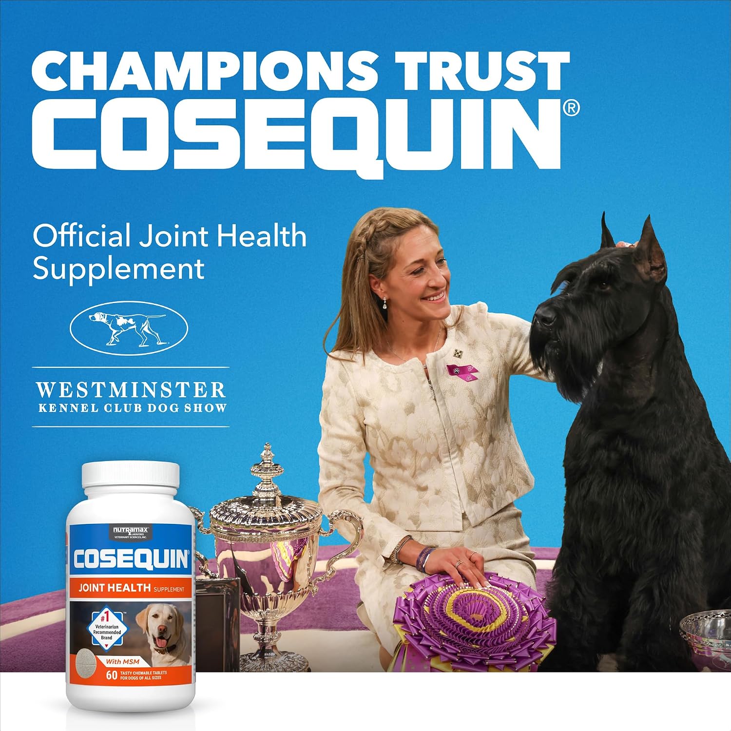 Nutramax Cosequin Joint Supplement for Dogs, Chewable Tablets, 132ct | Glucosamine + Chondroitin for Dogs with MSM, Supports Healthy Joints, All Breeds & Sizes, All Ages