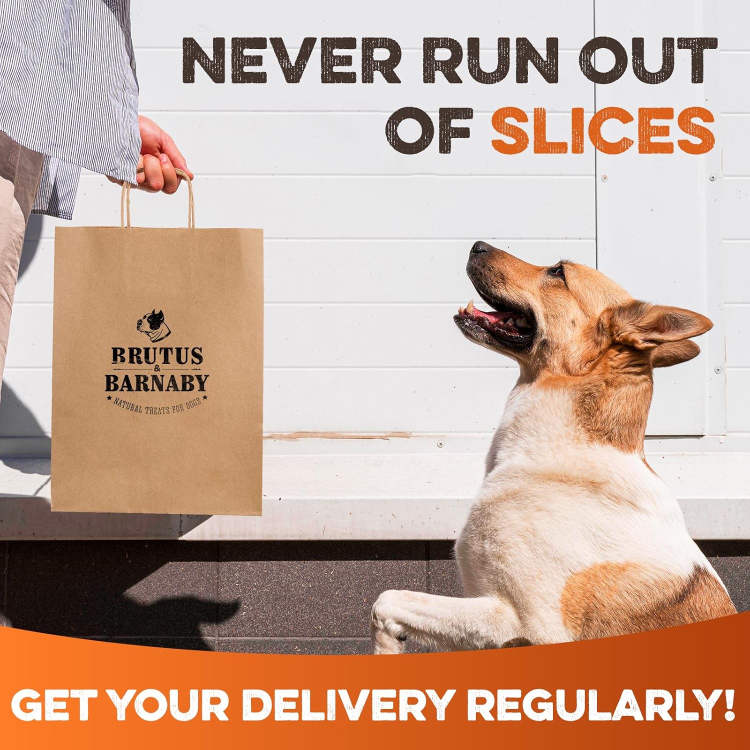 BRUTUS & BARNABY Dried Sweet Potato Dog Treats & Chews, Full Slices, 14 oz | Single ingredient, healthy, hypoallergenic; gentle on sensitive stomachs. Made in USA, thick cut for large breeds