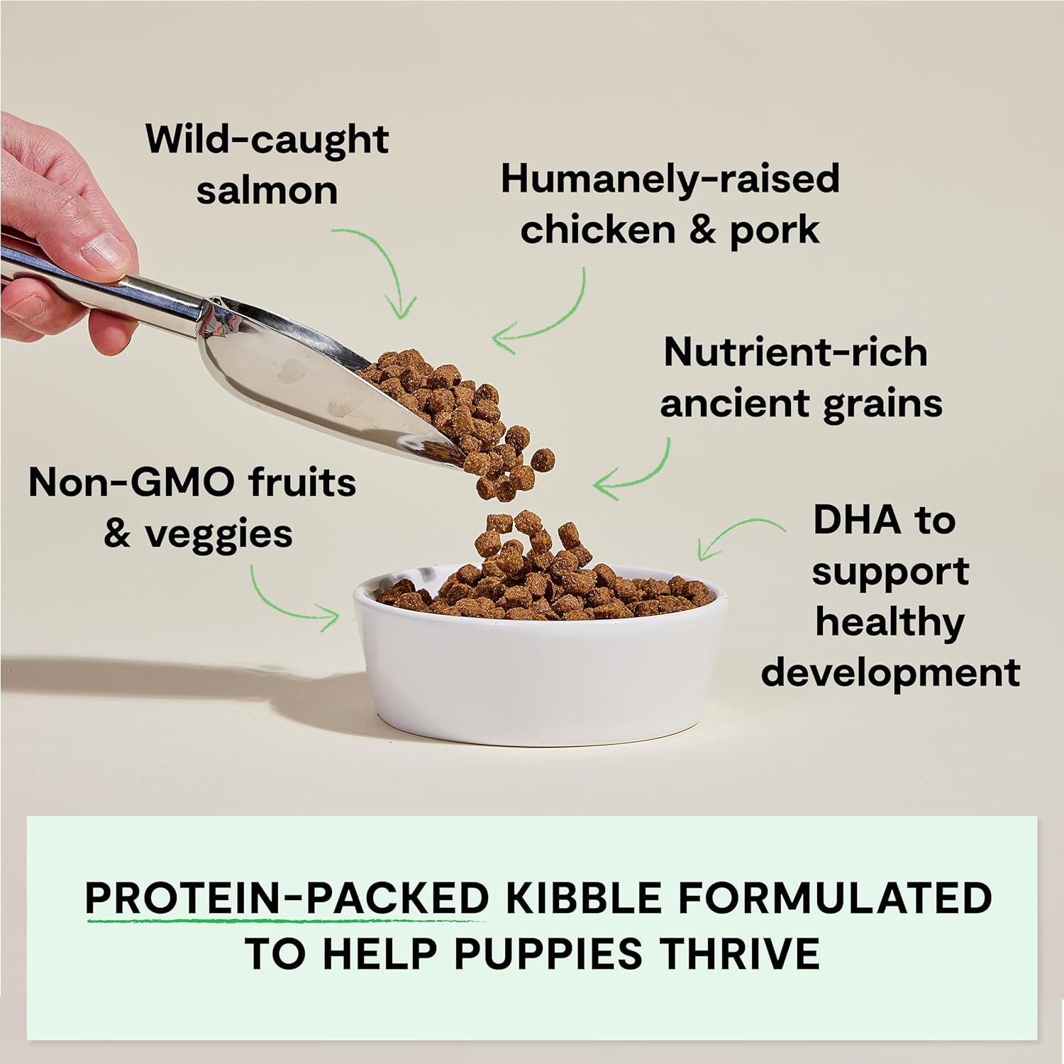 Open Farm Ancient Grains Dry Puppy Food, Chicken & Salmon Kibble, 4lb Bag