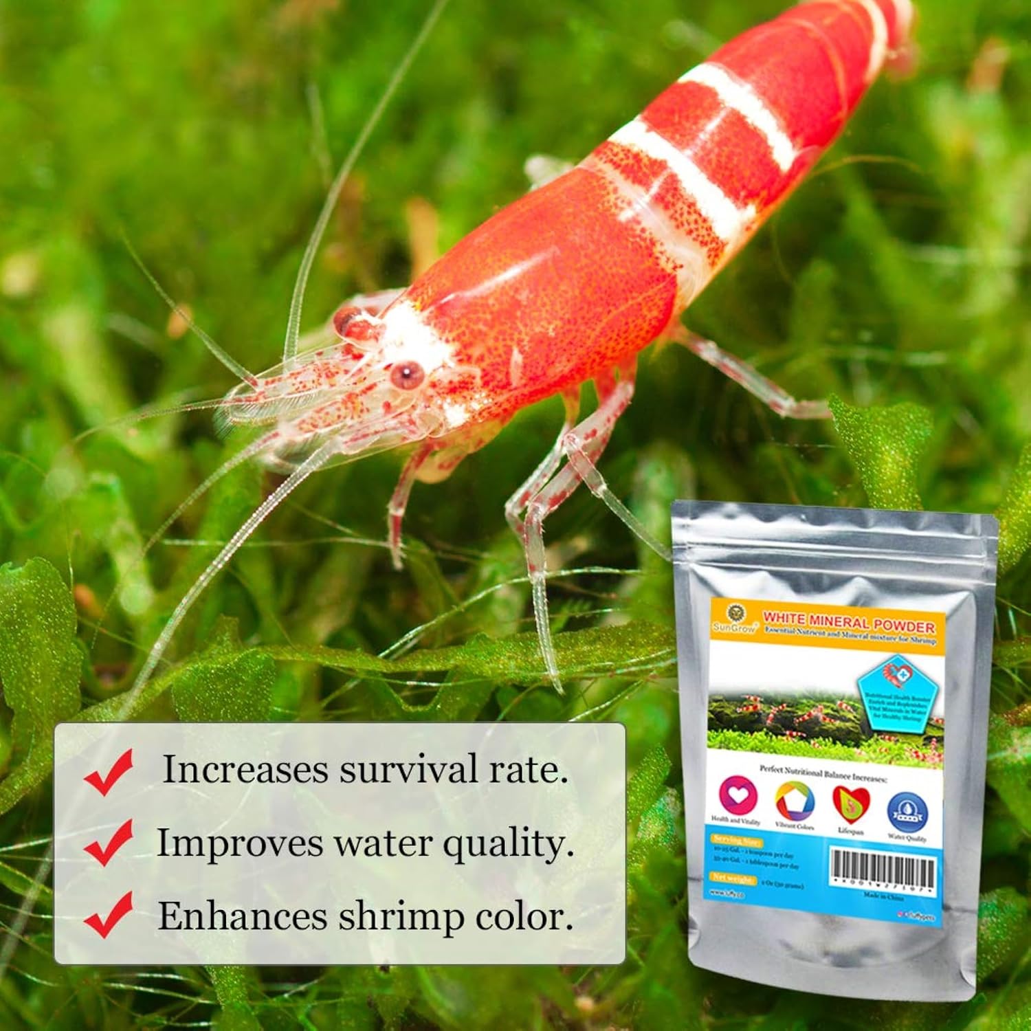 SunGrow Shrimp Rocks, Calcium, Magnesium Rocks for Crayfish, Hermit Crab, Snails, Crustacean Care, Aquarium Decor for Crystal Red, Amano and Ghost Shrimps, Nano Tank Accessories, Fish Tank Supplies