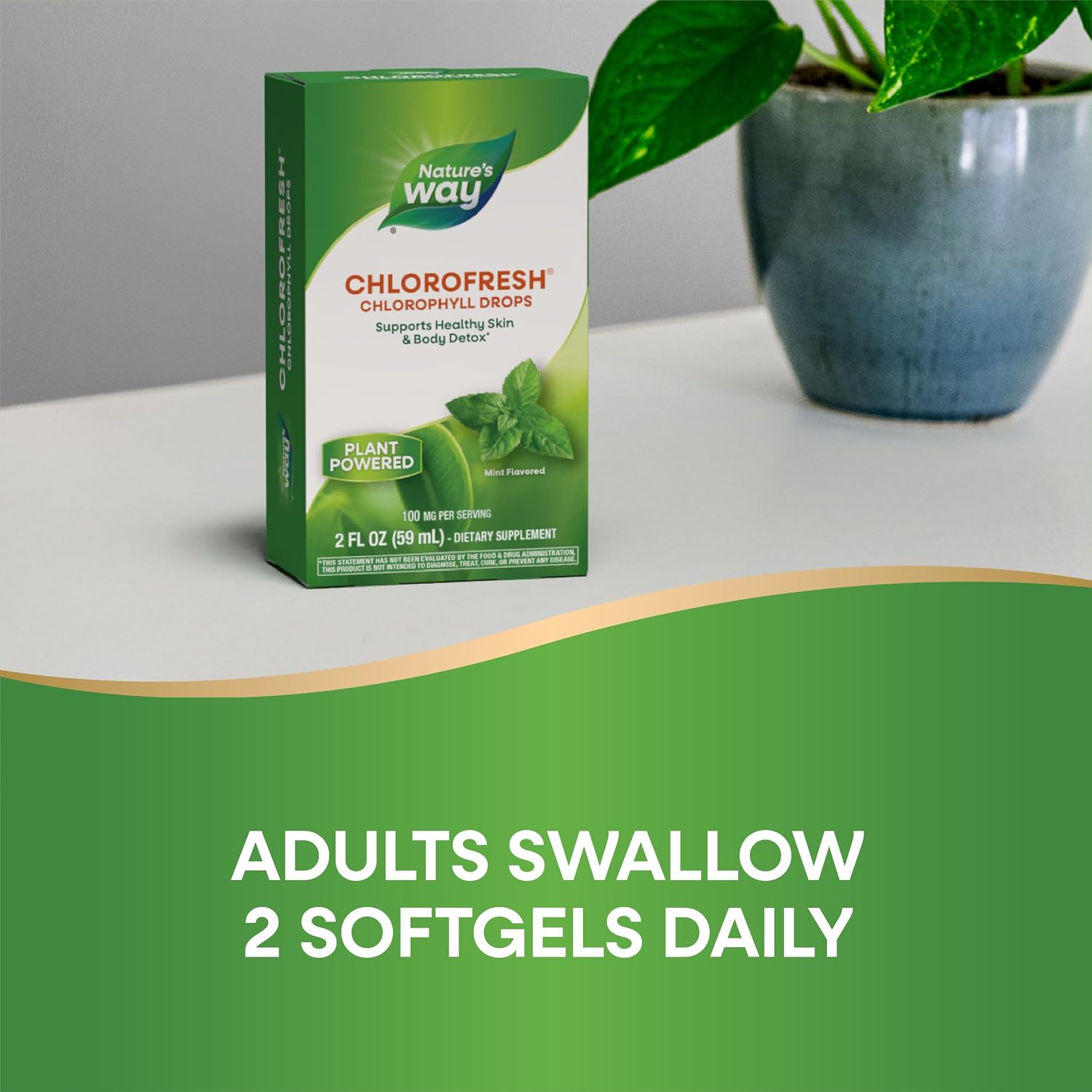 Nature's Way Chlorofresh Chlorophyll Drops, Mint Flavored, 2 Fl Oz | Supports Detox Pathways*, Liquid Chlorophyllin Copper Complex