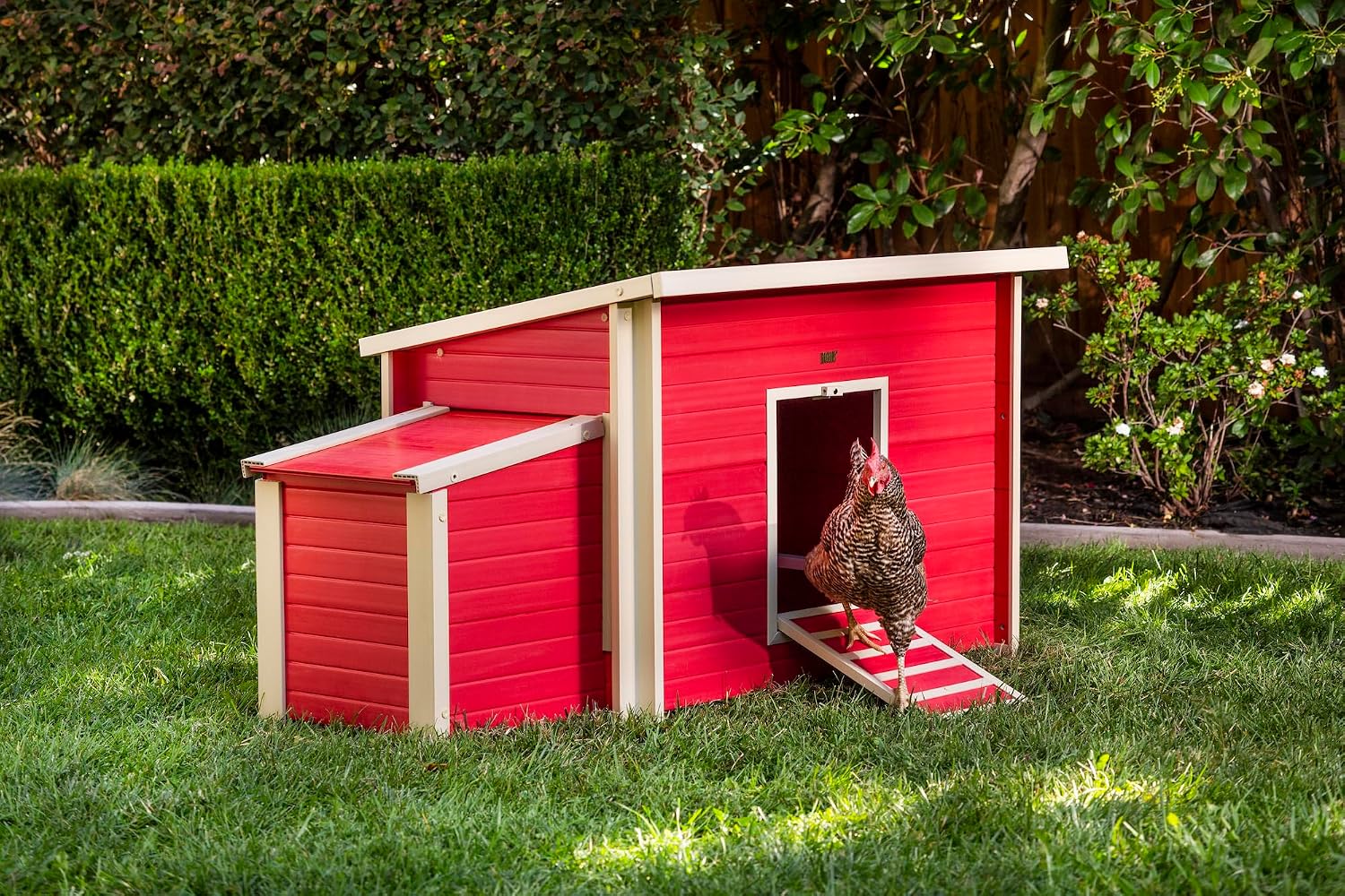 New Age Pet ECOFLEX Fontana Chicken Coop, Urban Barn for 2 to 3 Chickens, Easy Assembly, Eco Friendly & Durable, Tan