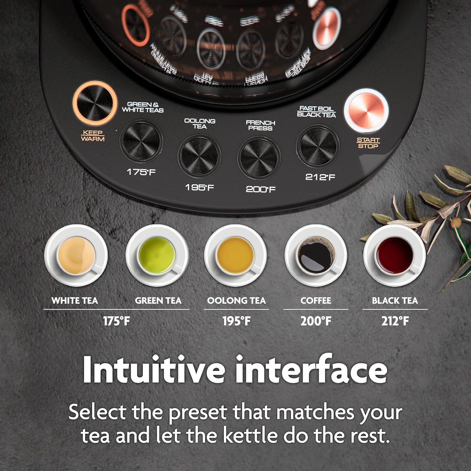 Viante Alba Electric Tea Kettle With Infuser, No Plastic, 1.5L