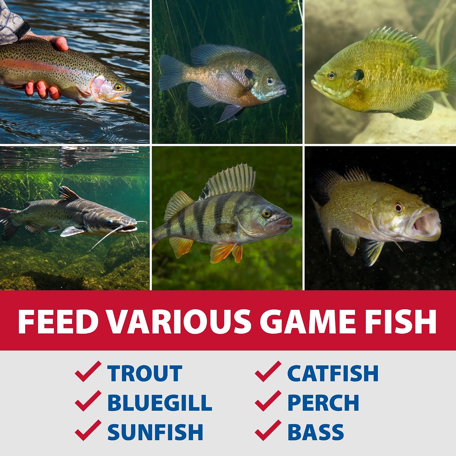The Pond Guy Game Fish Grower Floating Pellet Food, 17 lbs | Complete aquatic nutrition for bass, trout