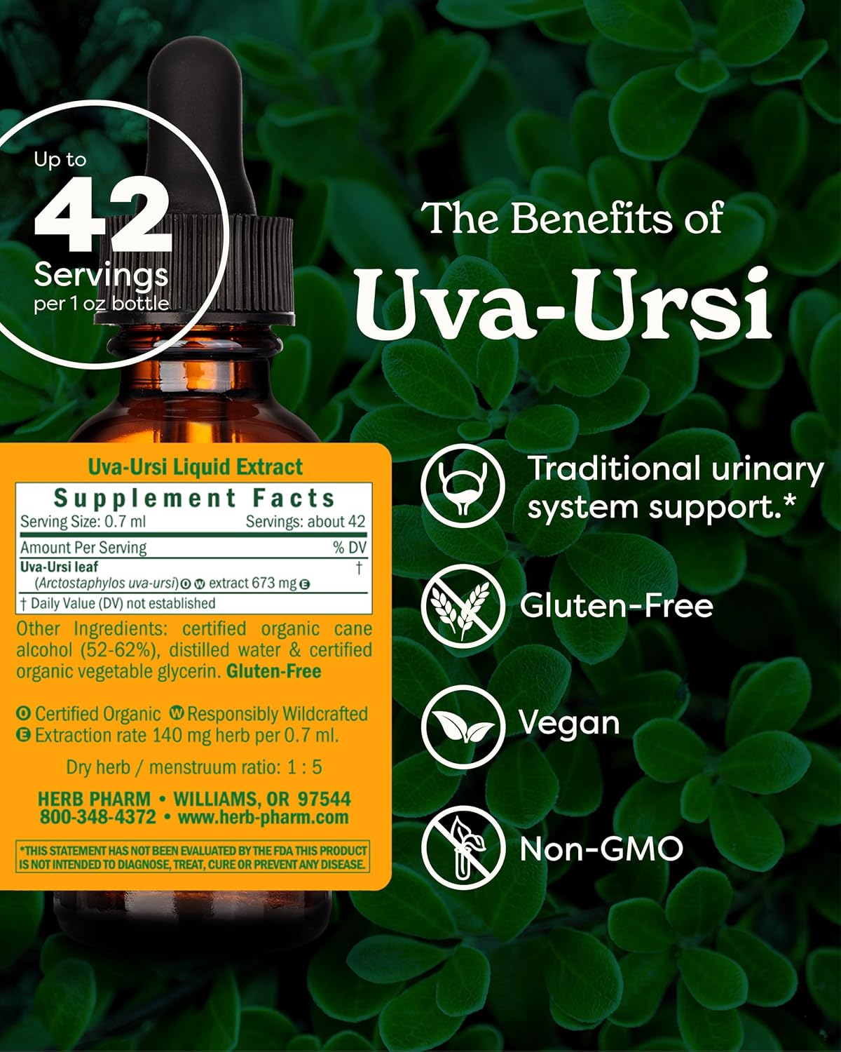 Herb Pharm Uva Ursi Liquid ExtraCount for Urinary System Support, 1 Oz