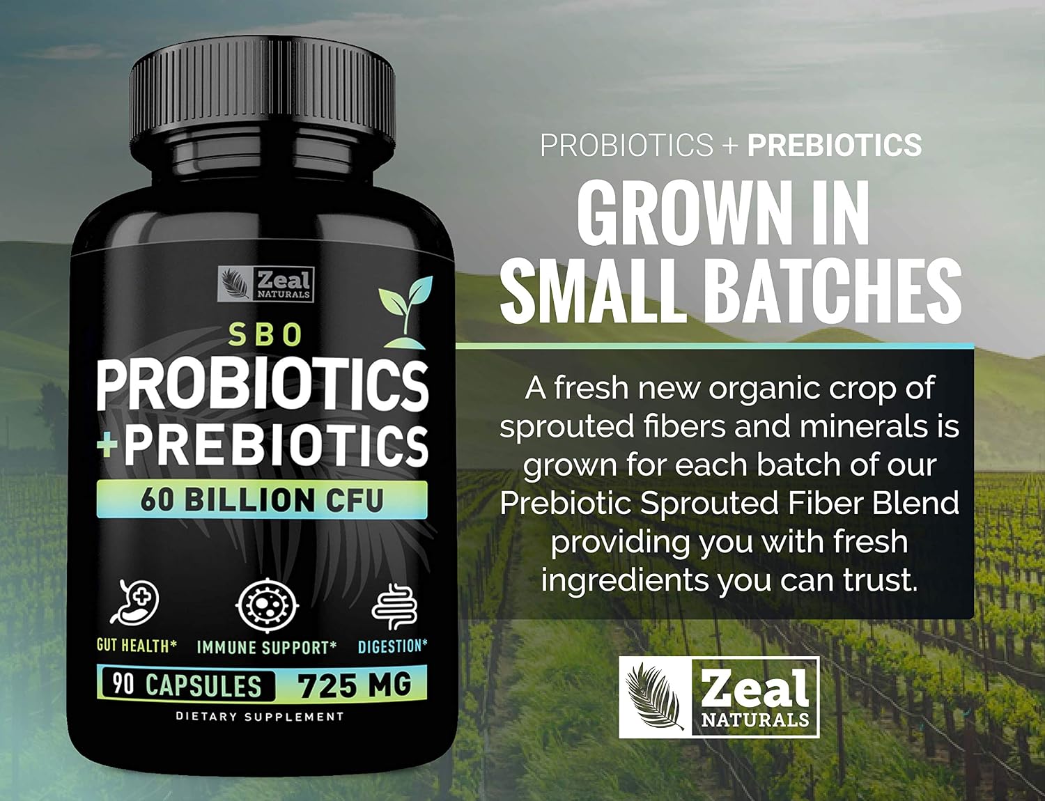 Probiotics and Prebiotics + SBO Probiotics (60 Billion CFU | 90 Capsules) Acidophilus Probiotic w. Saccharomyces Boulardii