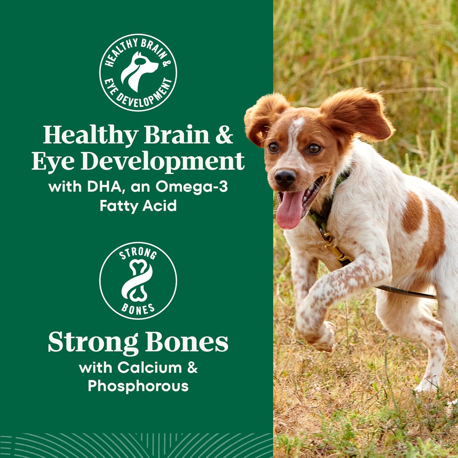Nutro Natural Choice Large Breed Puppy Dry Dog Food, Chicken, 30 lb | Real chicken #1 ingredient, non-GMO, no corn, wheat, soy, supports brain & eye development, bones, muscles & joints