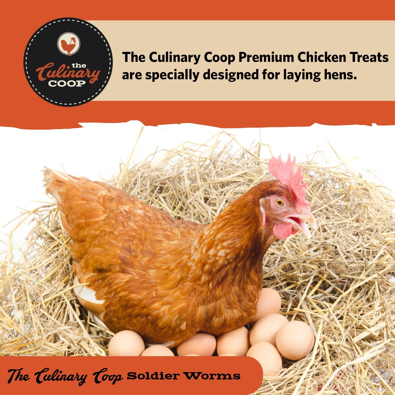 Fluker's Culinary Coop Premium Chicken Treats, Dried Soldier Worms, Packed with Protein and Calcium, 100% Natural Rich Grubs for Chicken, Backyard Birds, and Reptiles, 16 oz