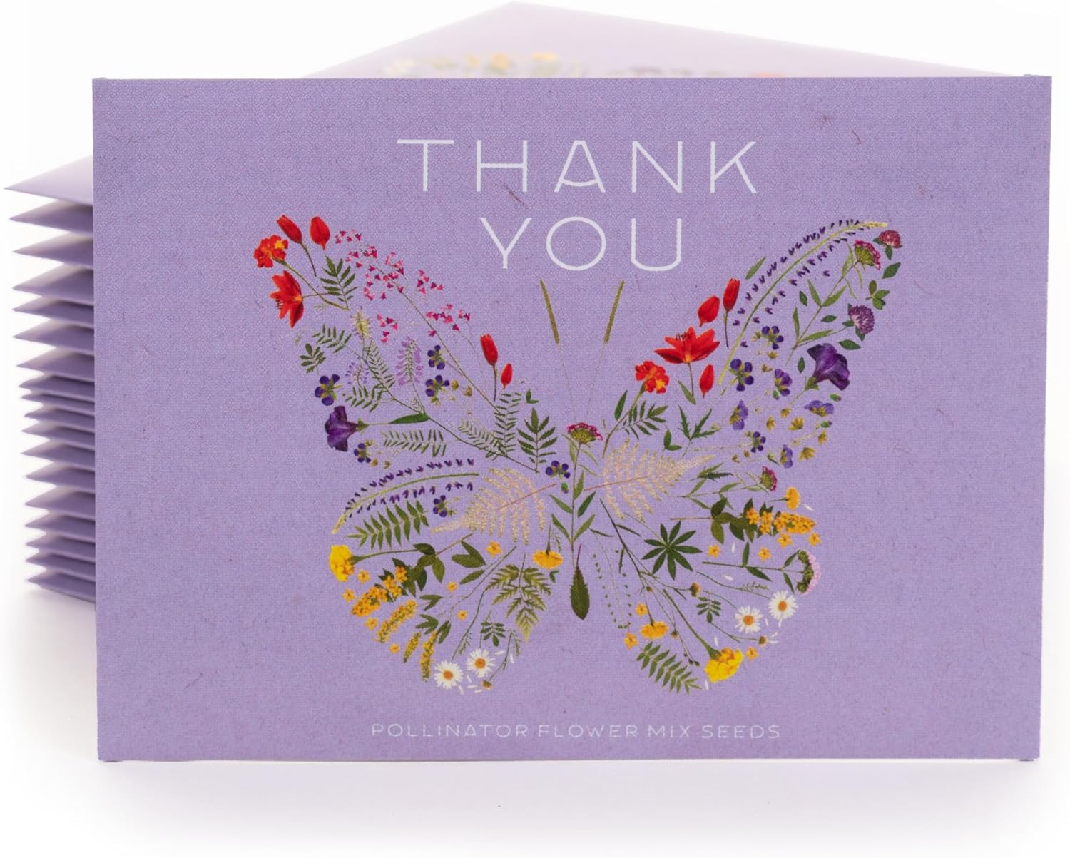 Bentley Thank You Packet - Sunflower Seeds - Pack of 25 - Perfect Eco-Friendly Thank You Gift - Non GMO