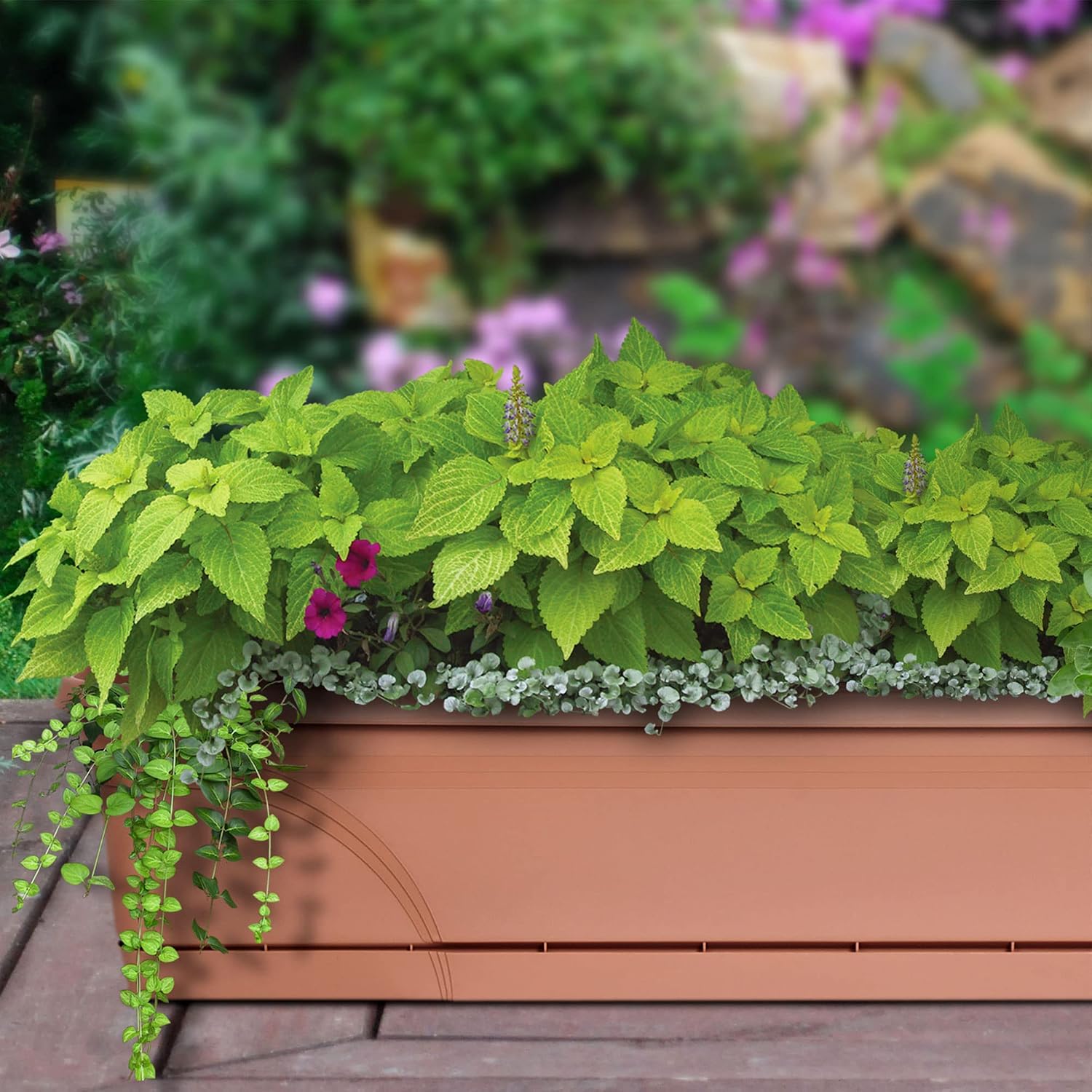 Southern Patio 36 Inch Medallion Weatherproof and Sunray Protected Plastic Hanging Windowsill Garden Box Planter with Drainage Holes, Black