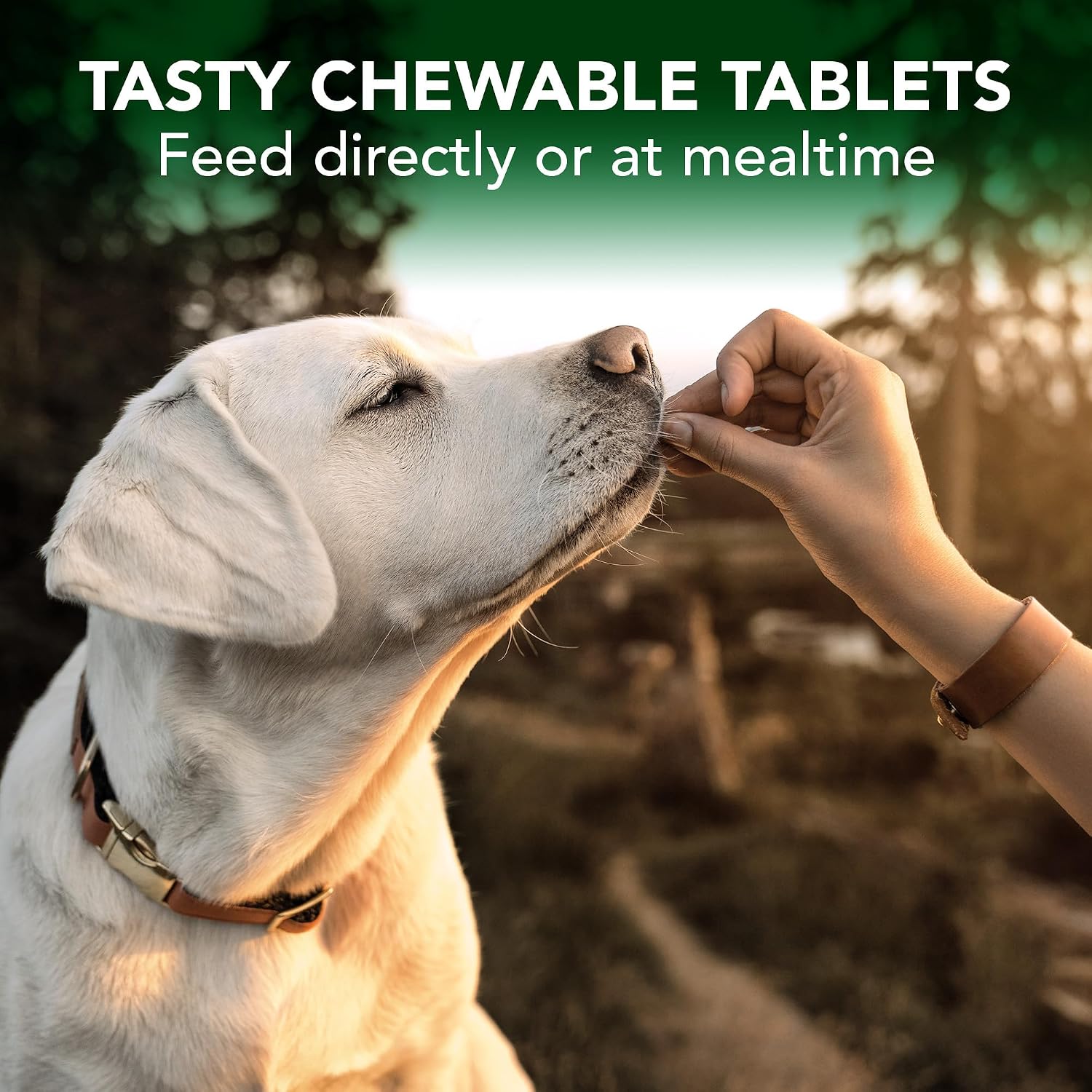 Vet's Best Seasonal Allergy Chewable Tablets for Dogs, Soothes Dog, 60ct | Seasonal Allergy Relief Tablets, Helps Soothe Itchy Skin