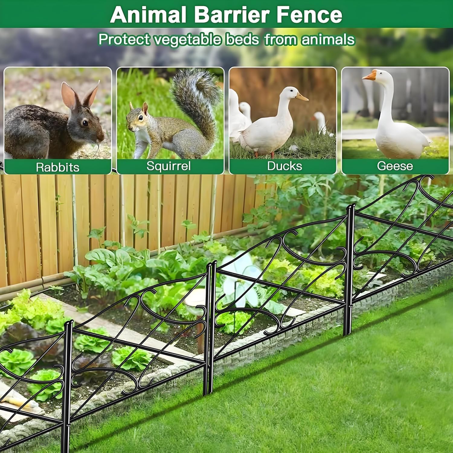 AMAGABELI 10 Panels 17in(H)×10ft(L) Decorative Garden Fences and Borders for Dogs No Dig Rustproof Metal Fence Panels Garden Edging Border Animal Barrier Fencing for Flower Beds Yard Patio Decor Black
