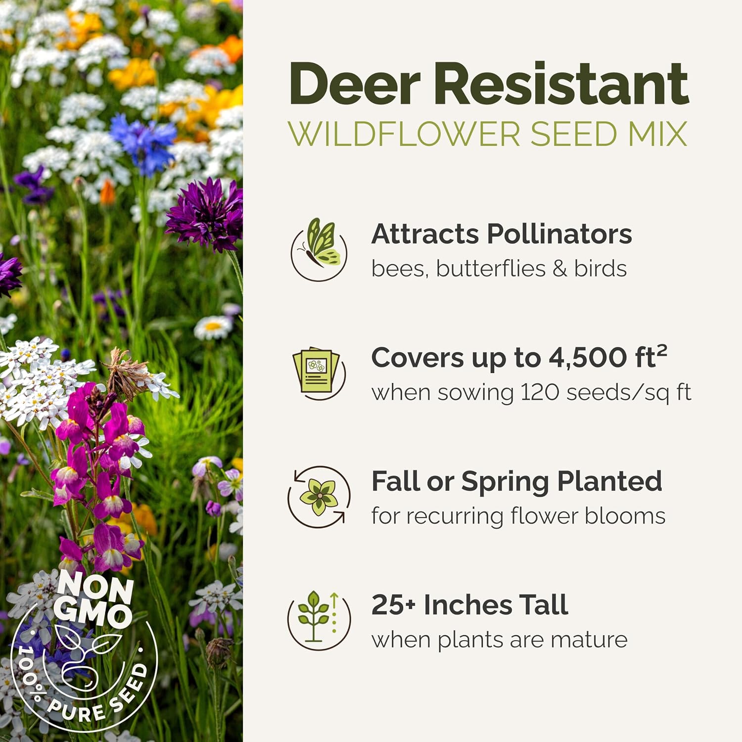 Eden Brothers All Perennial Wildflower Mixed Seeds for Planting, 1 lb, 480,000+ Seeds with Lupine, Shasta Daisy | Attracts Pollinators, Plant in Spring or Fall, Zones 3, 4, 5, 6, 7, 8, 9, 10