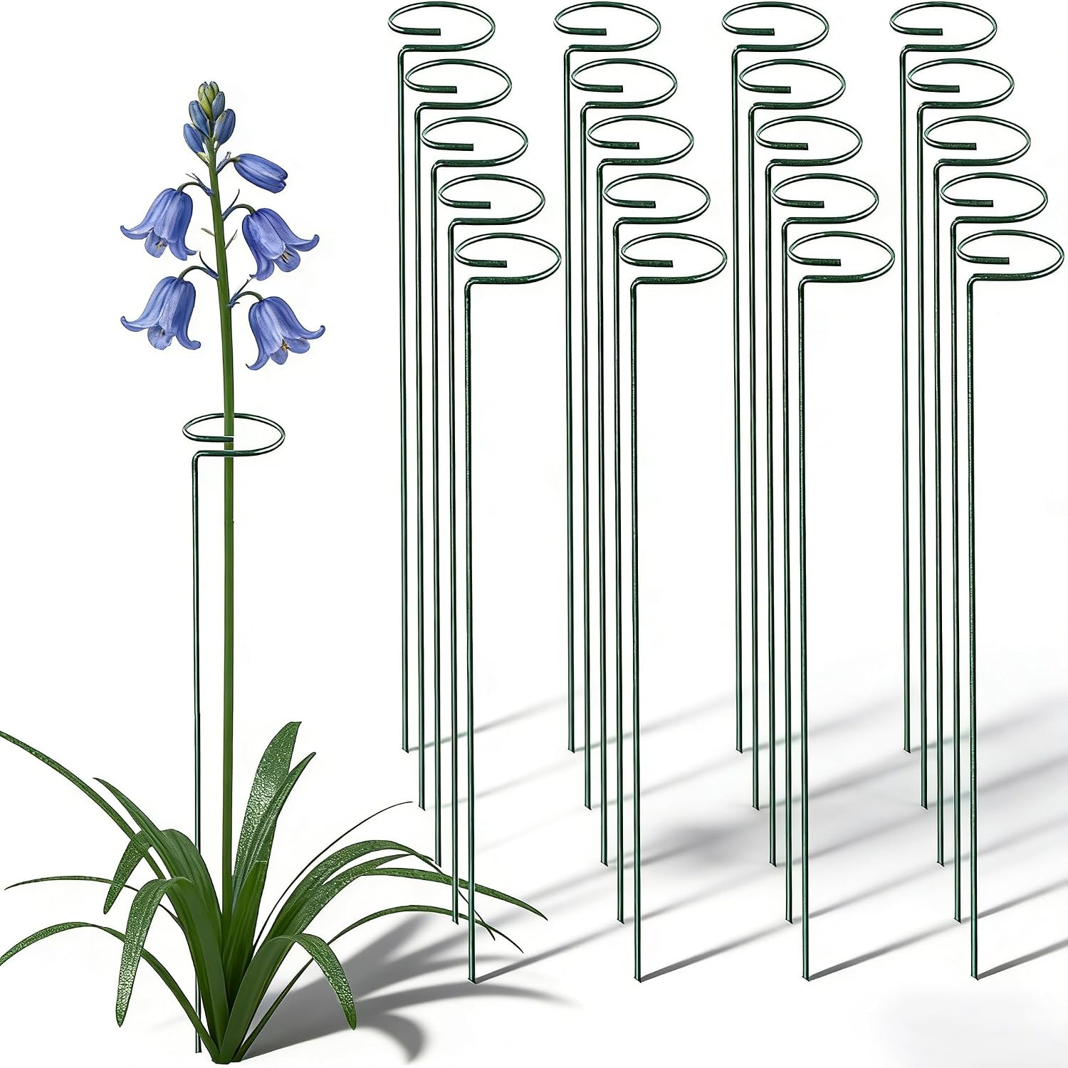 10 Pieces 24 inch Green Single Stem Plant Stakes Flower Support Rings,Gardening Planter Cages for Single Stem Flowers, Amaryllis, Peony, Lily,Narcissus