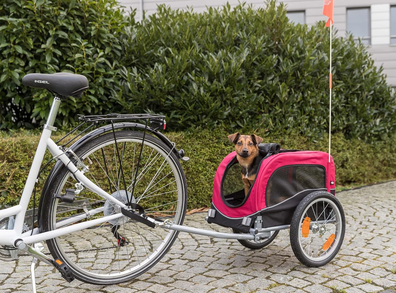 TRIXIE Medium Dog Bike Trailer - Foldable Pet Bicycle Trailer for Dogs up to 48lbs – Features Quick Fastening Wheels, 2 Doors, Safety Leash & Waterproof Carrier - 50 x 25 x 26.5in - Black/Red