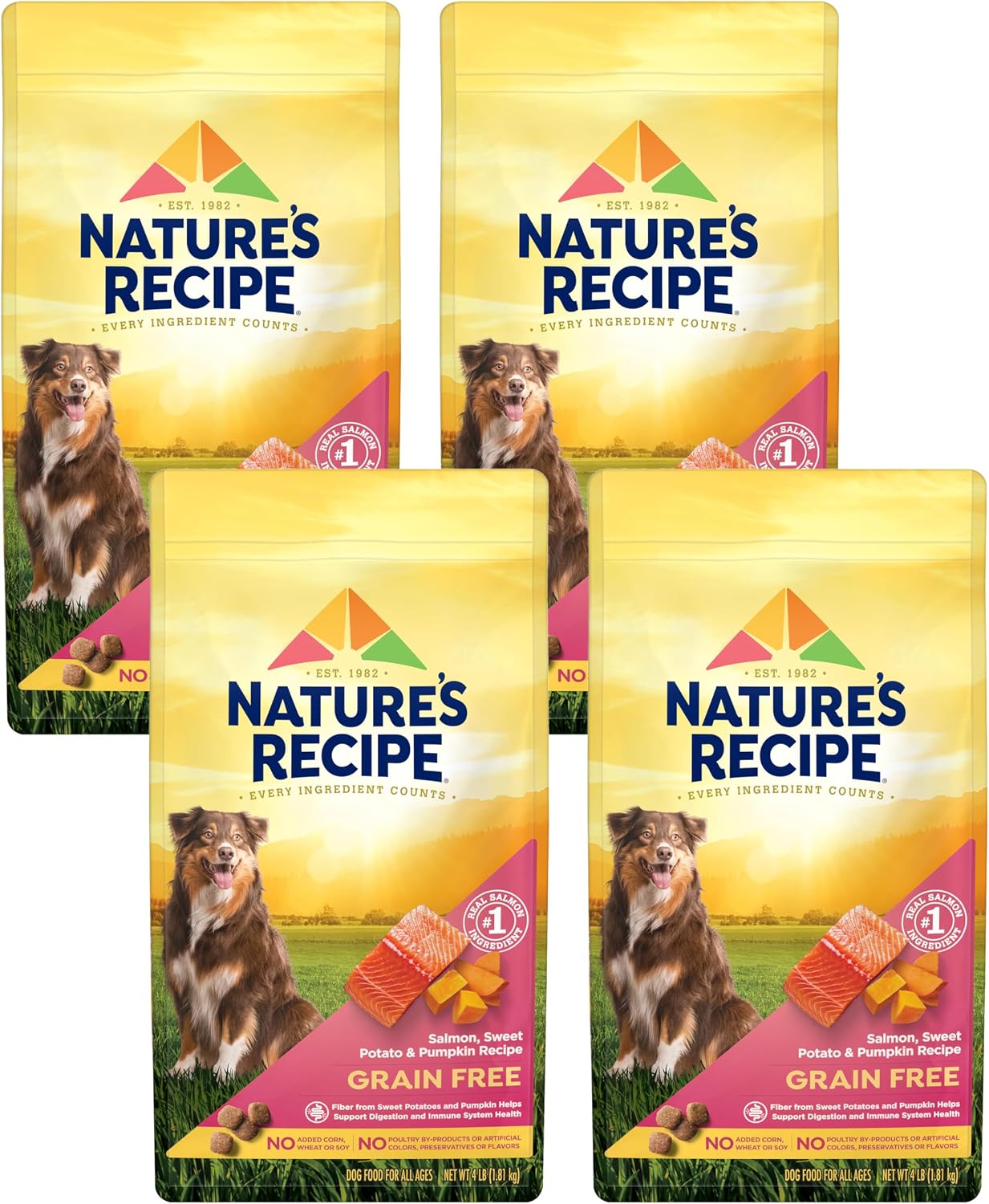 Nature's Recipe Grain Free Salmon Dry Dog Food, 24 lb. Bag | Fiber From Sweet Potatoes & Pumpkin Helps Support Digestion and Immune System Health