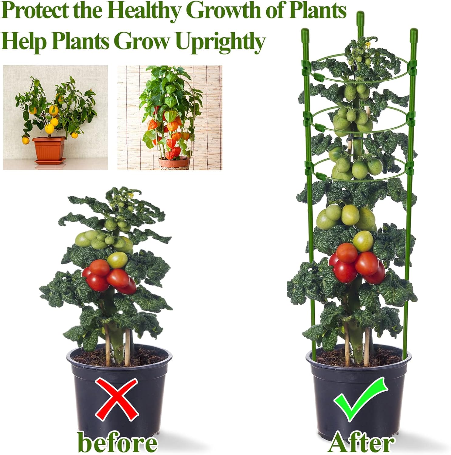 Legigo 3 Packs Plant Support Cages Tomato Cage for Garden- 18 Inch Adjustable Garden Cucumber Trellis Plant Stakes