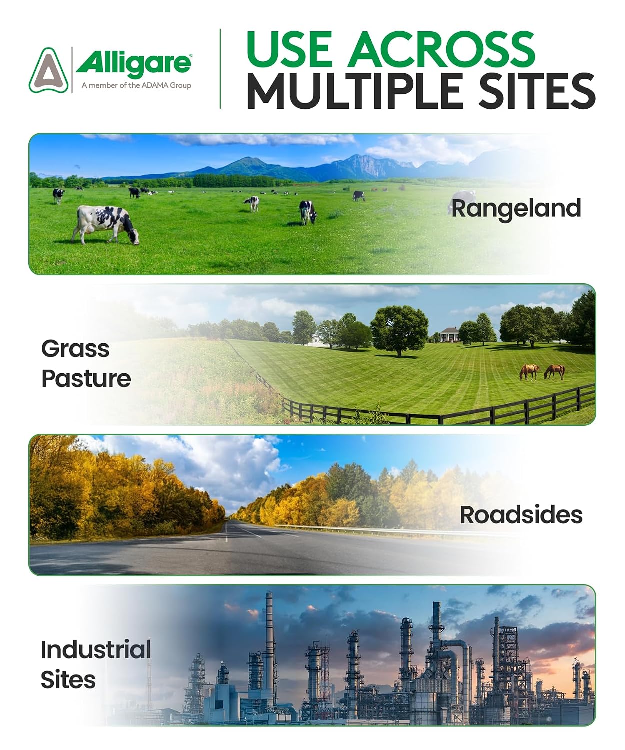 ALLIGARE MSM 60 DF - Selective Broadleaf Brush and Weed Killer for Pastures, Rangelands, Forestry, Roadsides & Industrial Sites - Low Use Rates, Tank-Mix Compatible - 8 oz