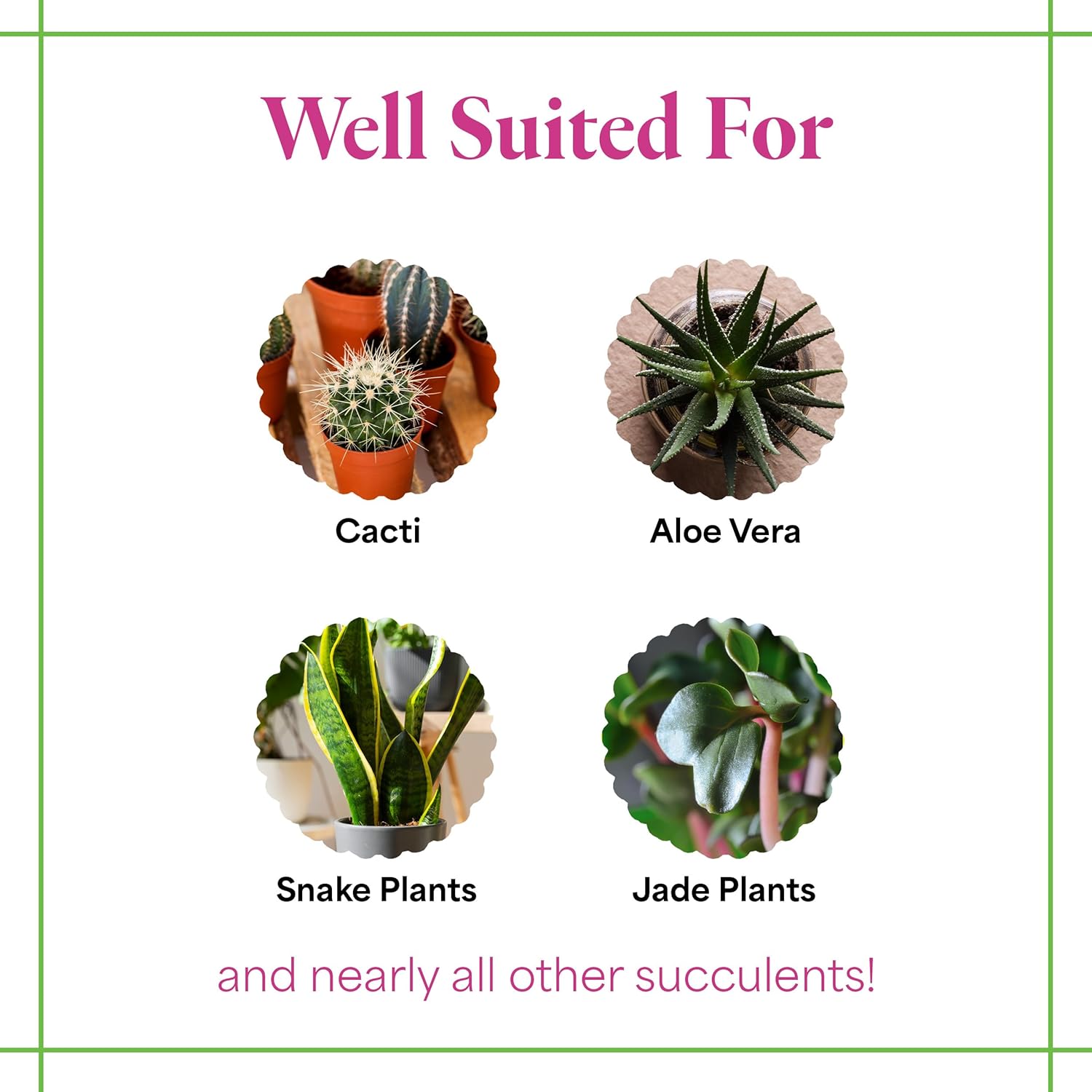 Grow More Cactus Juice (1-7-6) - 16oz of Succulent Fertilizer - Cactus Food for Growth & Root Development - Calcium-Rich Fertilizer for Succulents