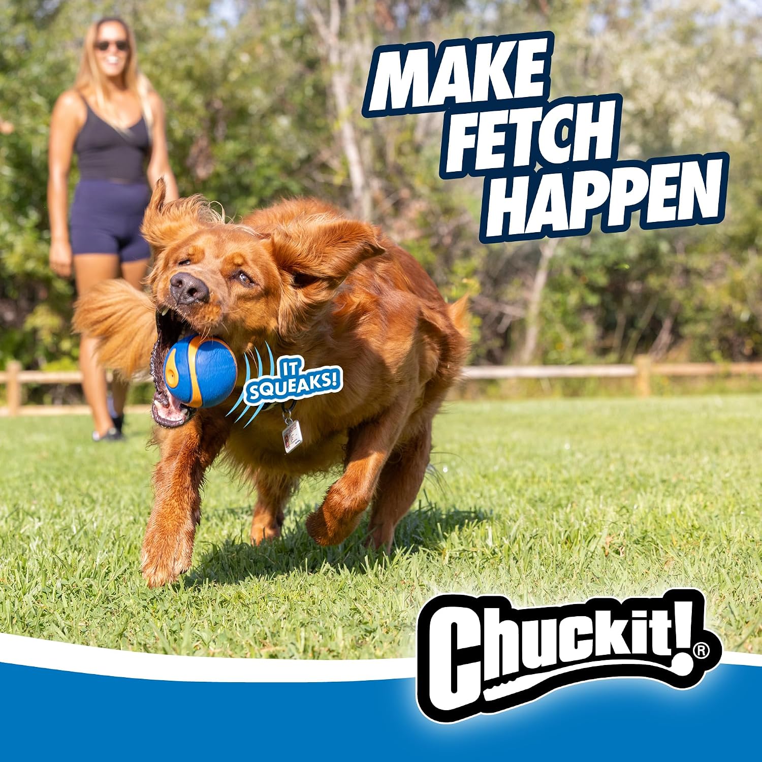 Chuckit! Ultra Ball Dog Toy - Size Large - For Dogs 60-100 lbs - Made from Durable Rubber - Super Bouncy - Floats in Water - 3-inch Diameter - Pack of 1