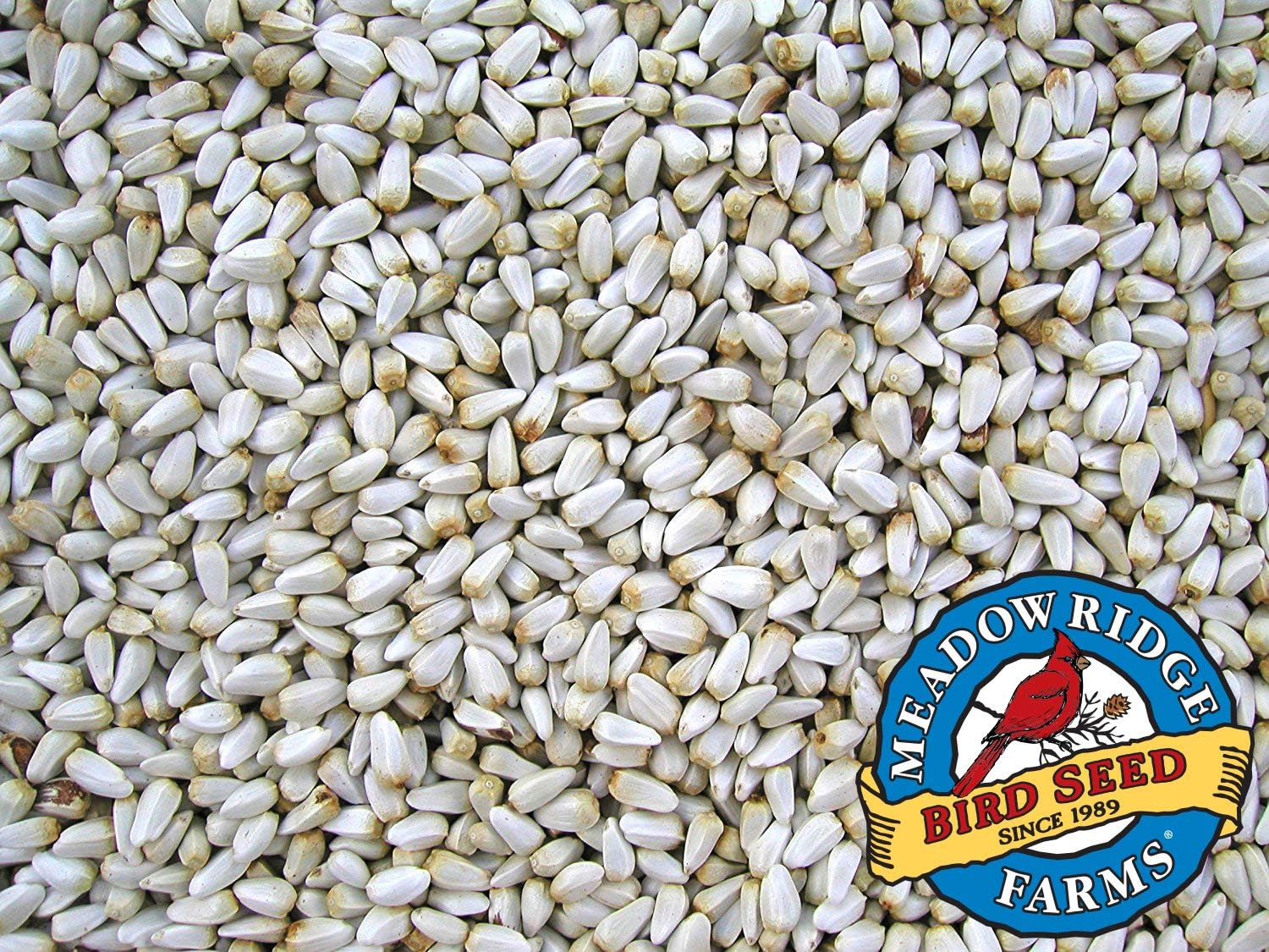 Safflower Bird Seed, 20-Pound Bag