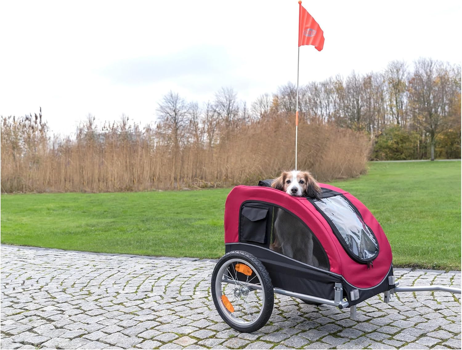 TRIXIE Medium Dog Bike Trailer - Foldable Pet Bicycle Trailer for Dogs up to 48lbs – Features Quick Fastening Wheels, 2 Doors, Safety Leash & Waterproof Carrier - 50 x 25 x 26.5in - Black/Red