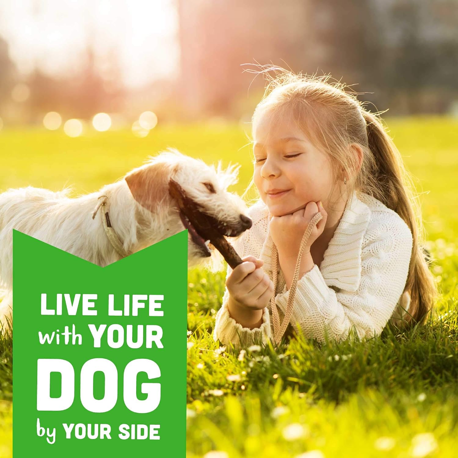 Cloud Star Wag More Bark Less - Dog Treats - Soft Chews - Grain Free Chicken & Sweet Potato - 5 oz Pouch