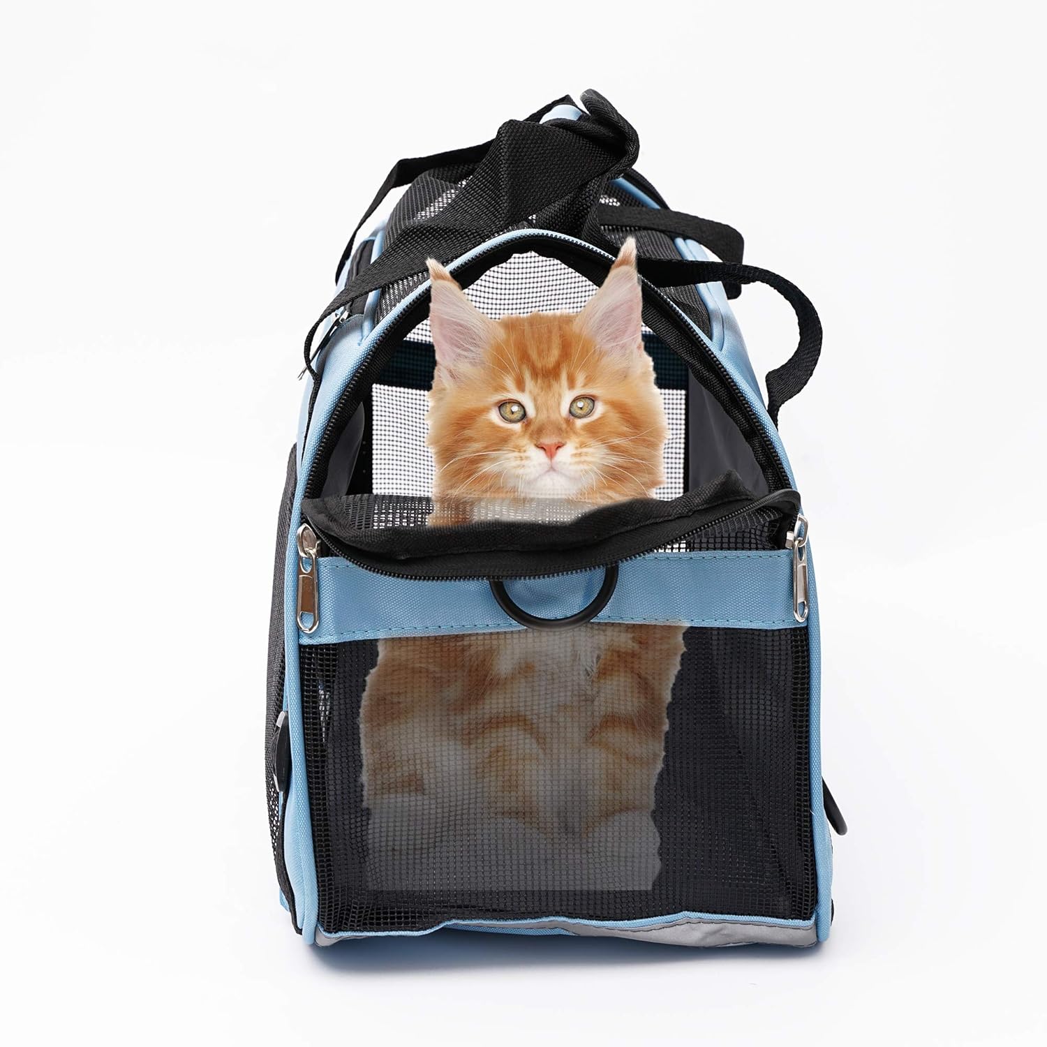 MuchL Cat Carrier for Cats Soft-Sided Travel Pat Carrier for Cat with Wooden Padding Board Airline Approved Lightweight Comfortable Cat Bag for