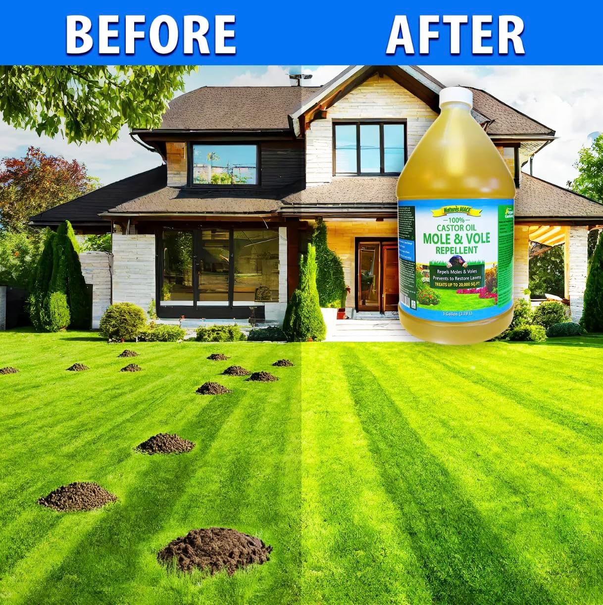 Nature's MACE Mole and Vole Mace, Mole Deterrent for Yard, 1 Gallon, 100% Pure Castor Oil, Lawns, Mole Repellent, Stop Tunneling, Mole Remover Treatment, Castor Oil Repellent, People, Pet, Plant Safe