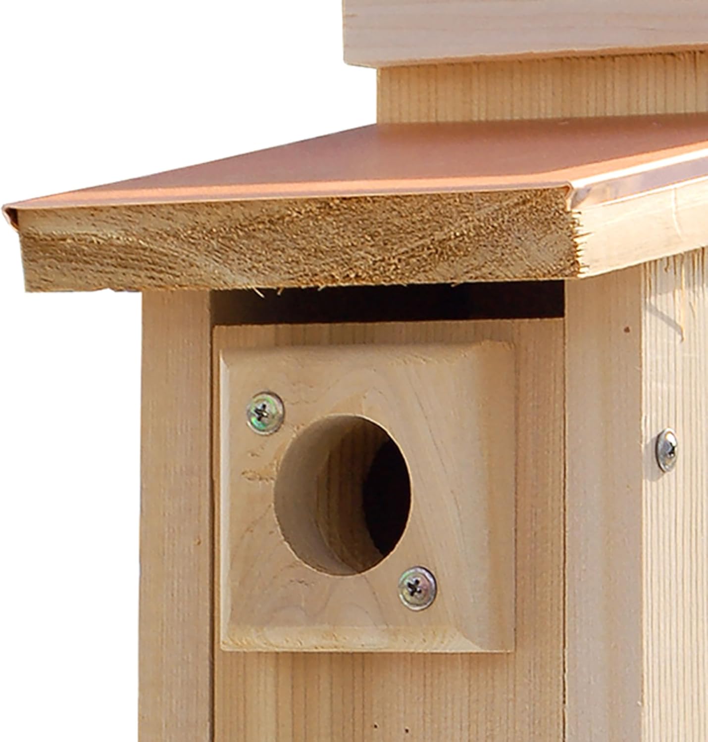 Audubon Coppertop Cedar Wood Bluebird House Model NACOPBB