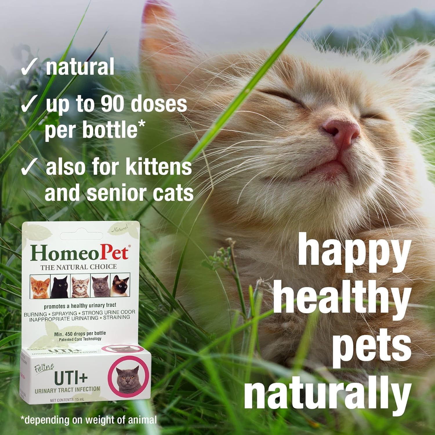 HomeoPet Feline UTI+ Urinary Tract Supplement for Cats, 15 Milliliters | Natural urinary tract support for cats, safe and gentle homeopathic formula, liquid drops suitable for daily use