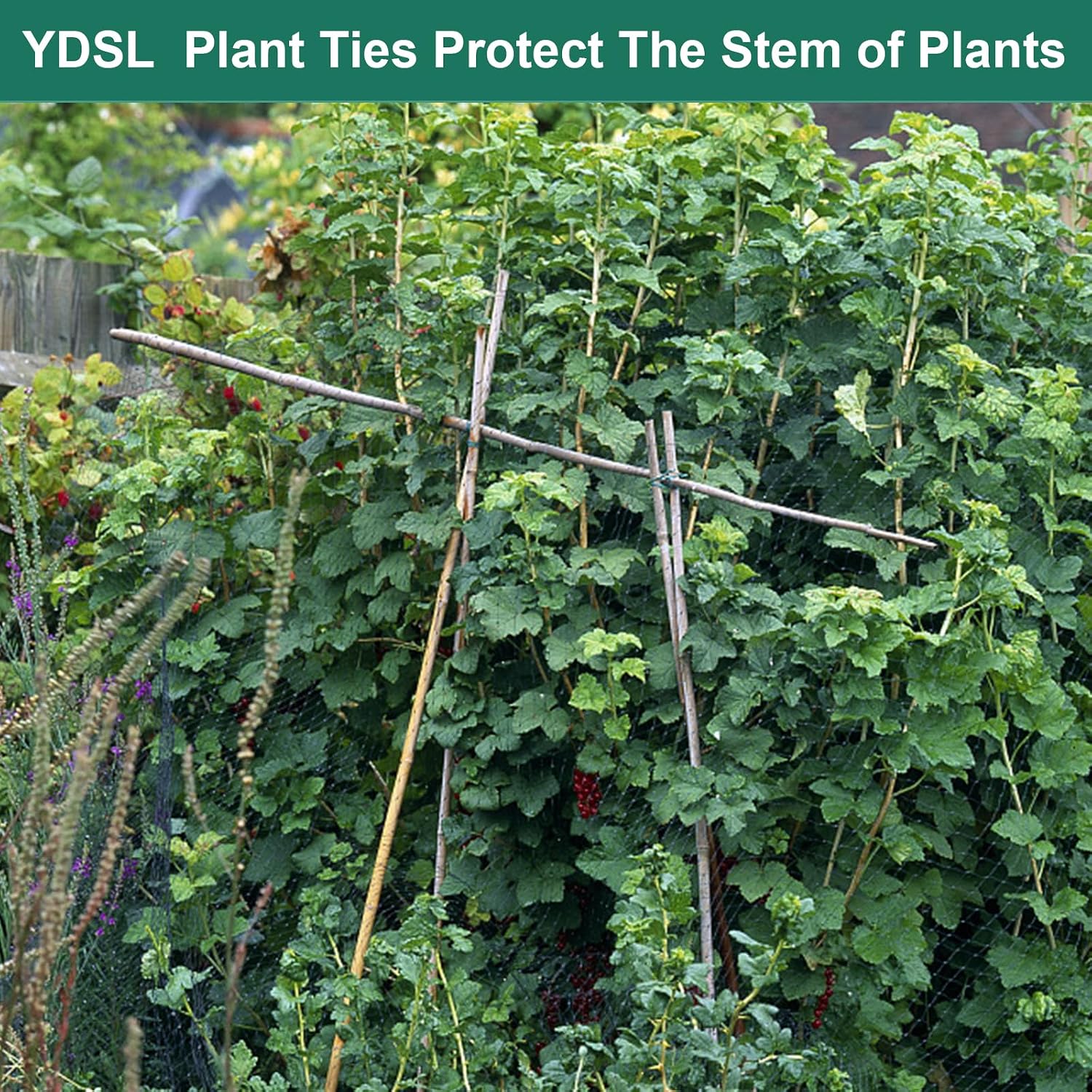YDSL Soft Plant Tie, Garden Wire Tie for Plants Heavy Duty Reusable Plant Twist Ties for Gardening Home Office (Green, 32.8 feet)