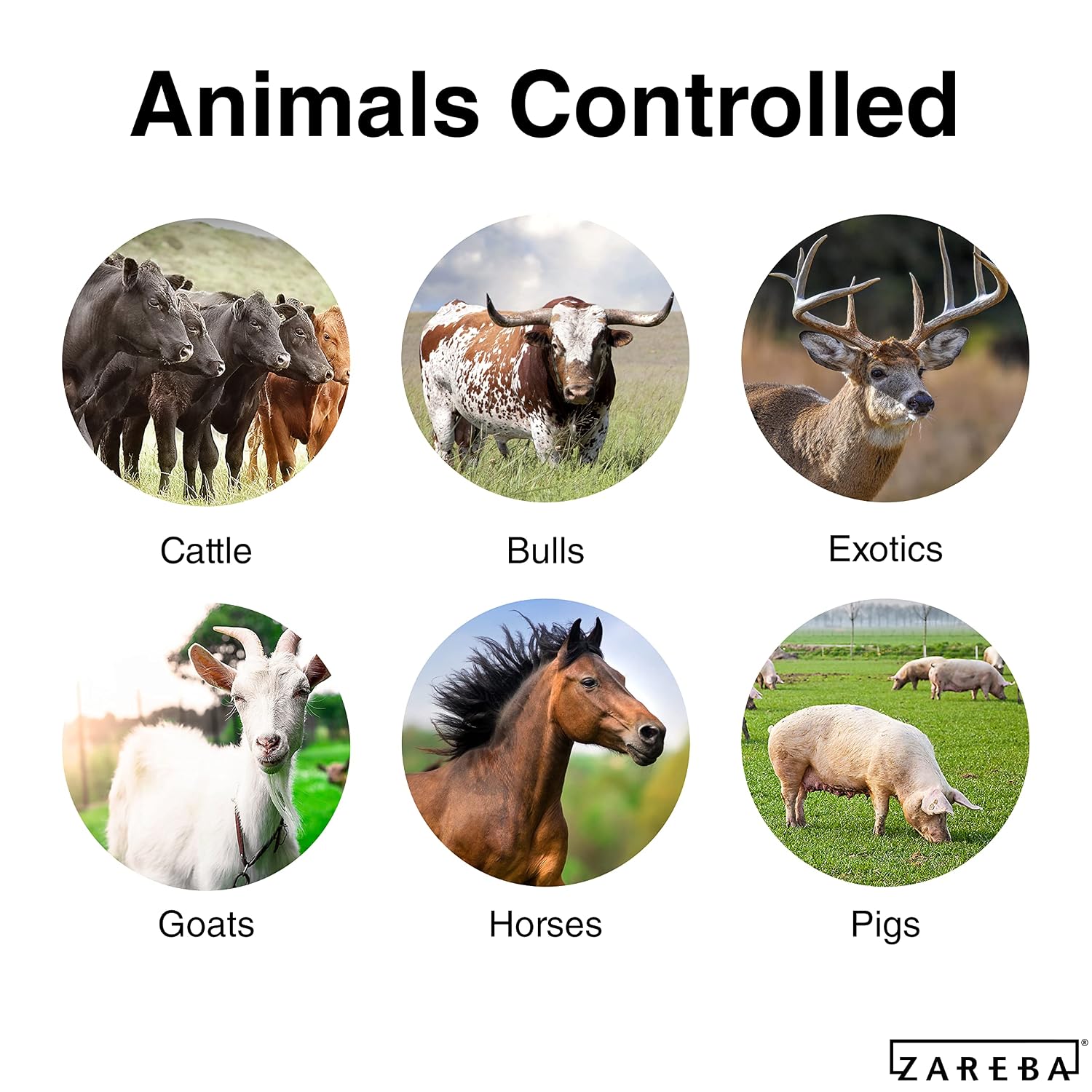 Zareba 75 Mile AC Powered Low Impedance Electric Fence Charger - Plug In Electric Fence Charger - Contain Bulls, Cattle, Pigs, Exotics