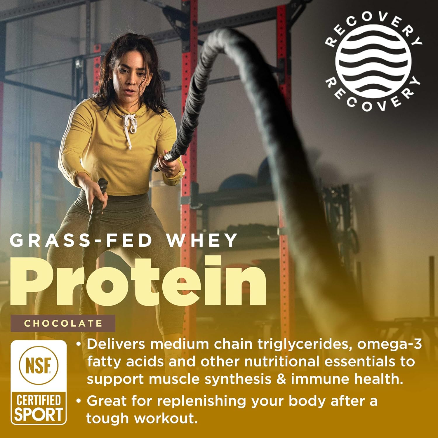 Gnarly Nutrition Chocolate Protein Powder – NSF Sport Certified – 25g Protein, Muscle Repair – Grass Fed Whey Powder, Smooth Taste – Chocolate, 32 oz