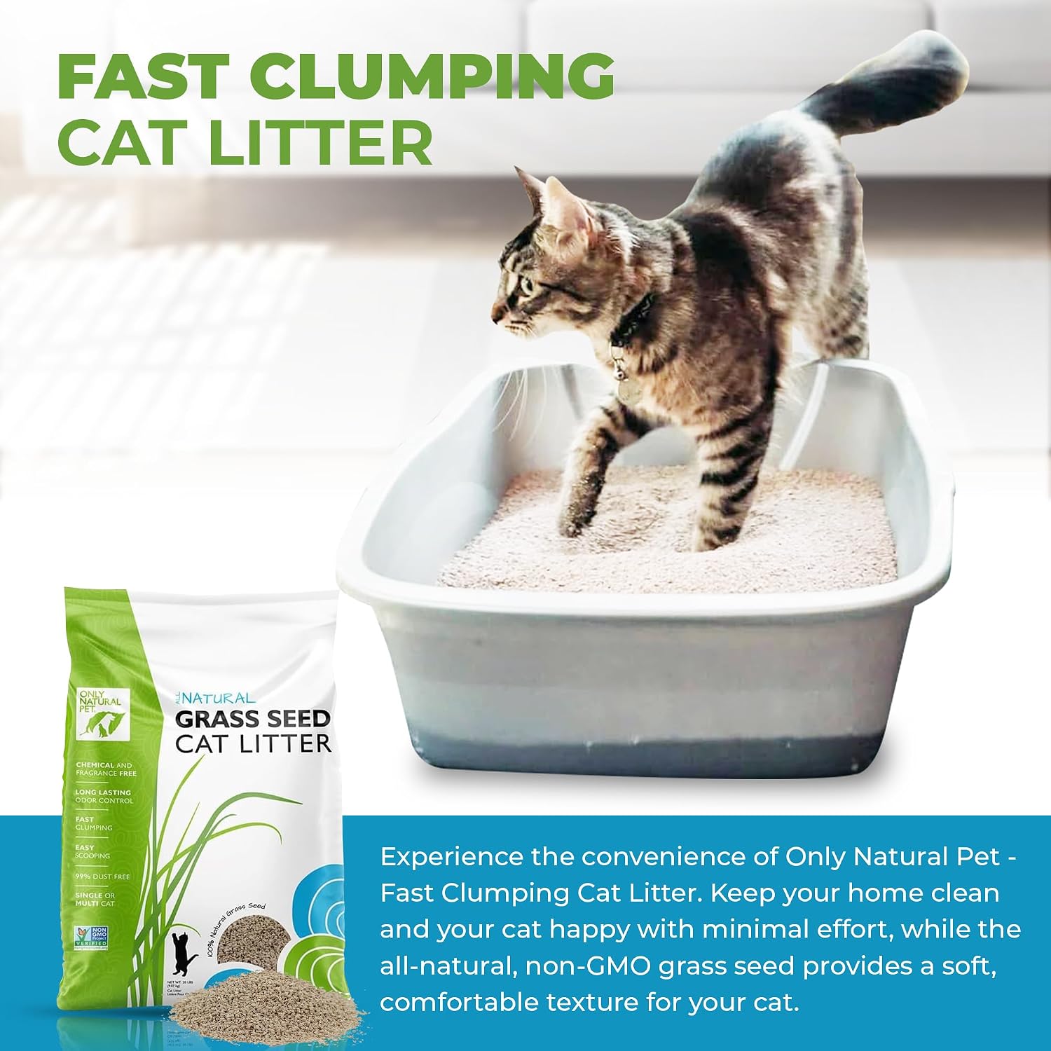 Only Natural Pet - Fast Clumping Cat Litter Non GMO Kitty Litter, Single or Multi Cat, Unscented - 20 lb Bag
