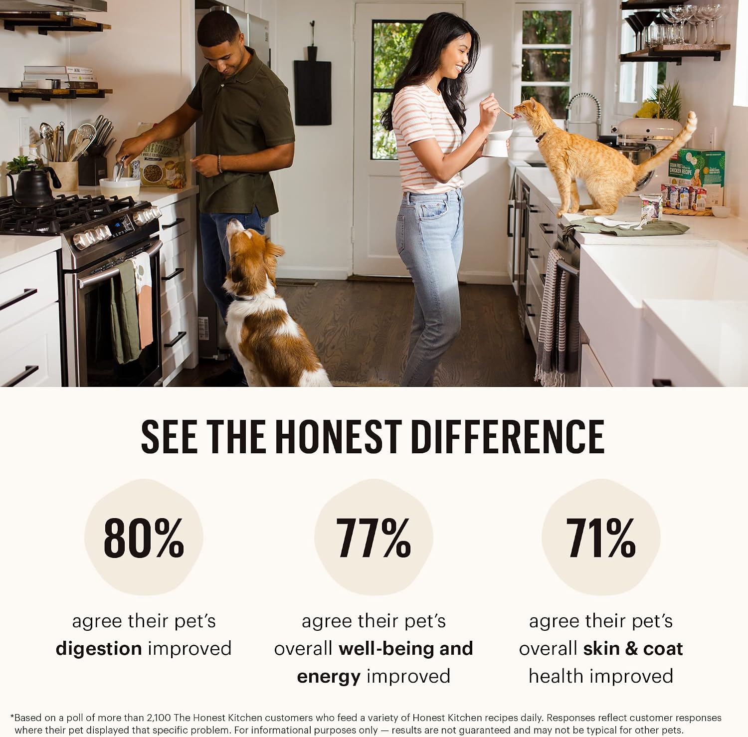 The Honest Kitchen Grain Free Beef & Superfoods Whole Food Clusters, Human Grade Dry Dog Food, Vet-Crafted Nutritional Support for Skin, Coat, Digestion & Overall Wellness, 20 lb Bag