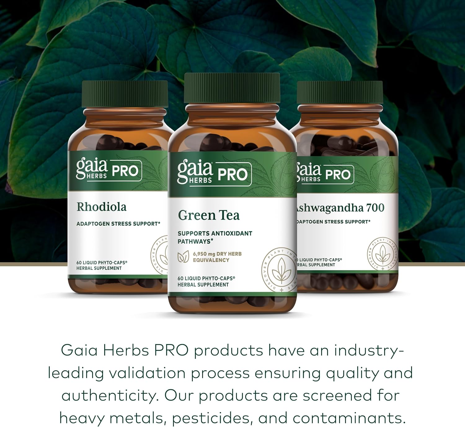 GAIA HERBS PRO Green Tea - Heart Health & Antioxidant Support Supplement* - Health Supplement with Green Tea Leaf Extract - Vegan, Gluten-Free