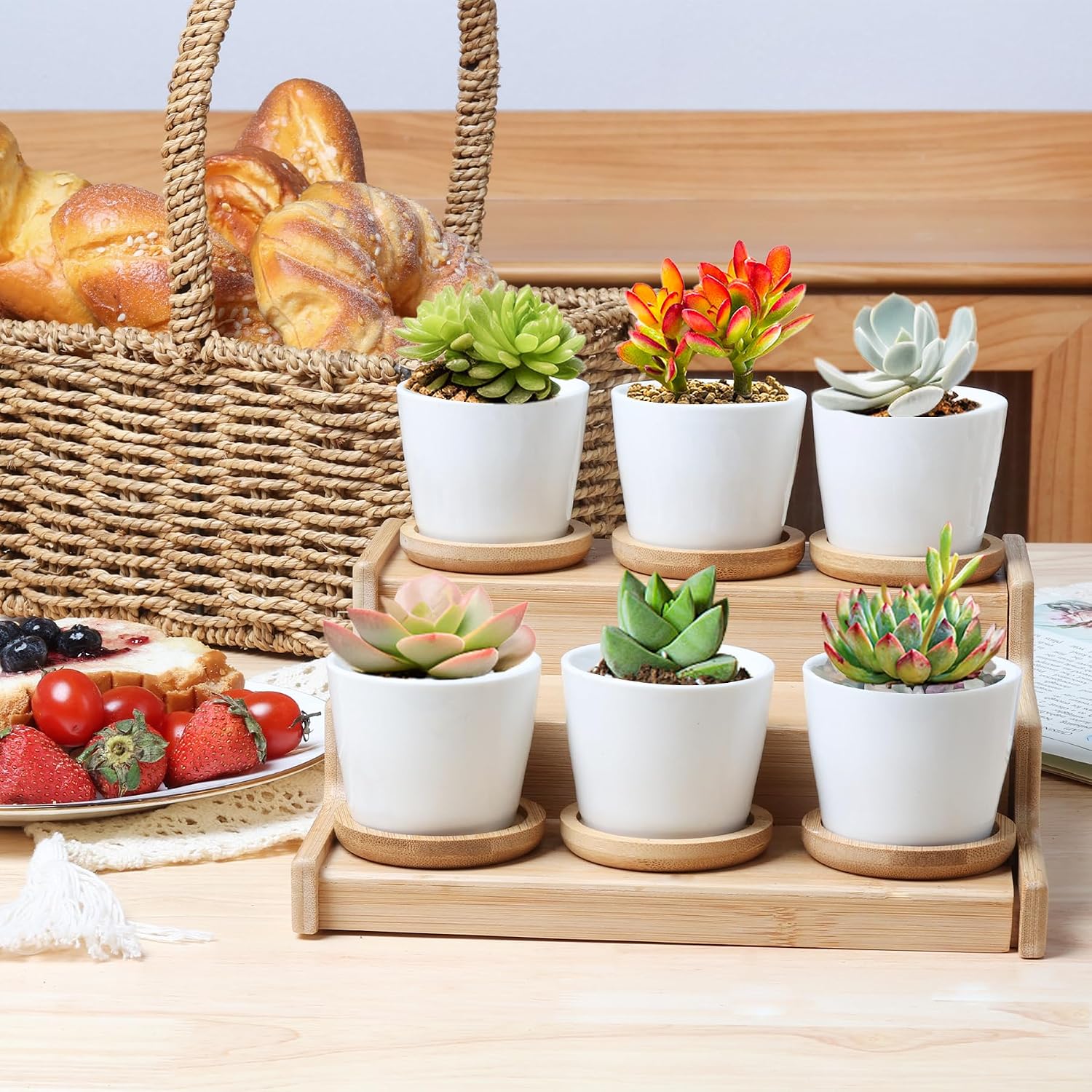 T4U Small White Succulent Planter Pots with Bamboo Tray Hexagon Set of 2, Geometric Ceramic Cactus Plant Holder, Succulent Plant Gifts for Gardener Women Coworker, Home Office Table Desk Decoration | Live cactus bonsai starter, Indoor windowsill decor, O…