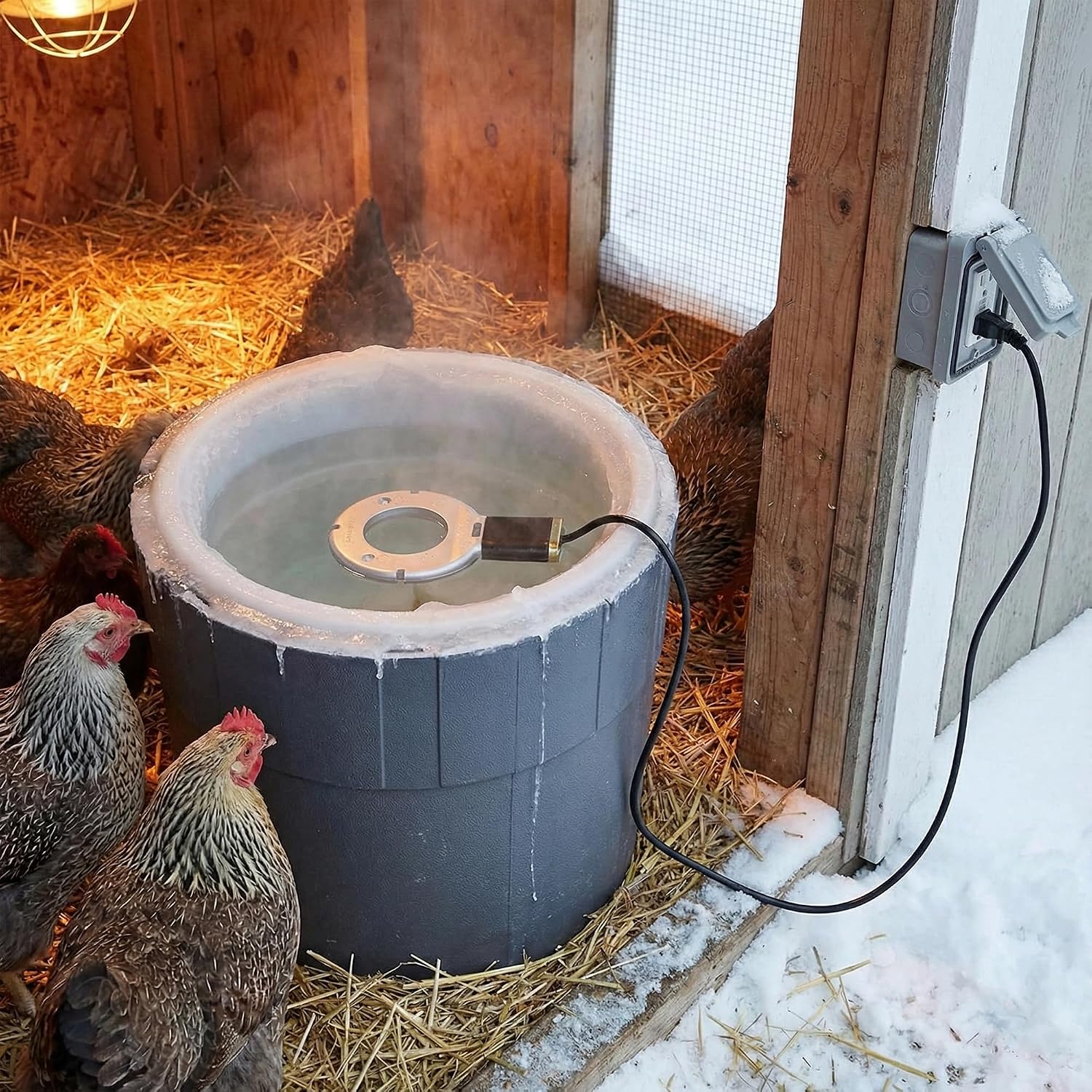 Farm Innovators Chicken Waterer De-Icer for Nipple Drinker Chicken Water Buckets - 150W Water Deicer with Thermostatically Controlled Heating | For