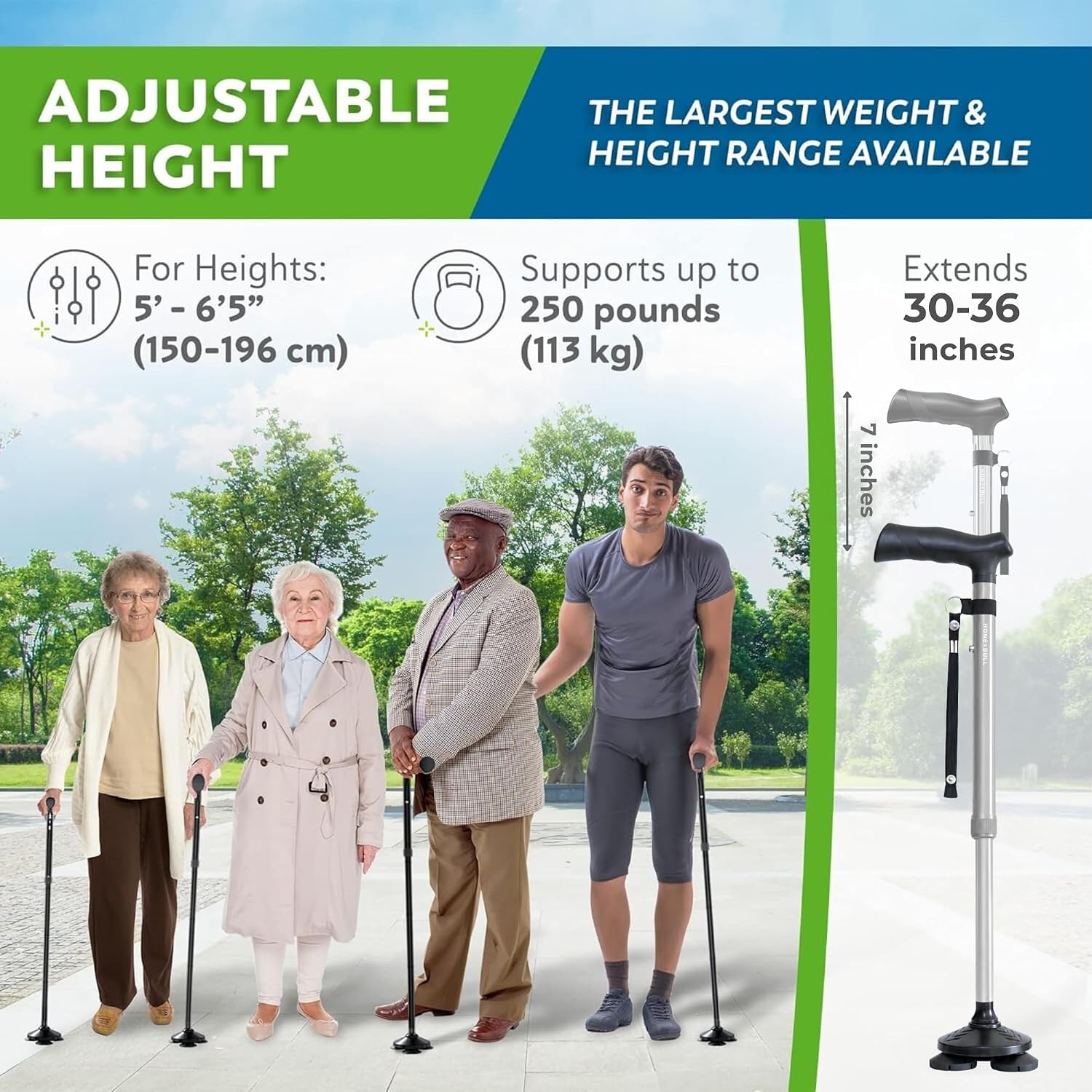 HONEYBULL Walking Cane for Men & Women, Foldable Free Standing Cane | Adjustable height, collapsible design, heavy-duty, pivot base for stable support, ergonomic handle