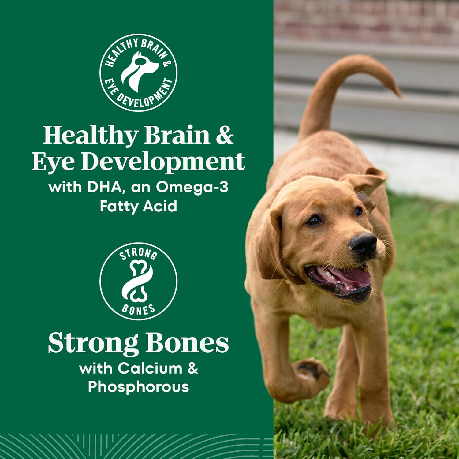 Nutro Natural Choice Puppy Dry Dog Food, Chicken & Brown Rice, 5 lb | Real chicken #1 ingredient, supports brain & eye development, healthy bones & muscles, non-GMO, made in USA