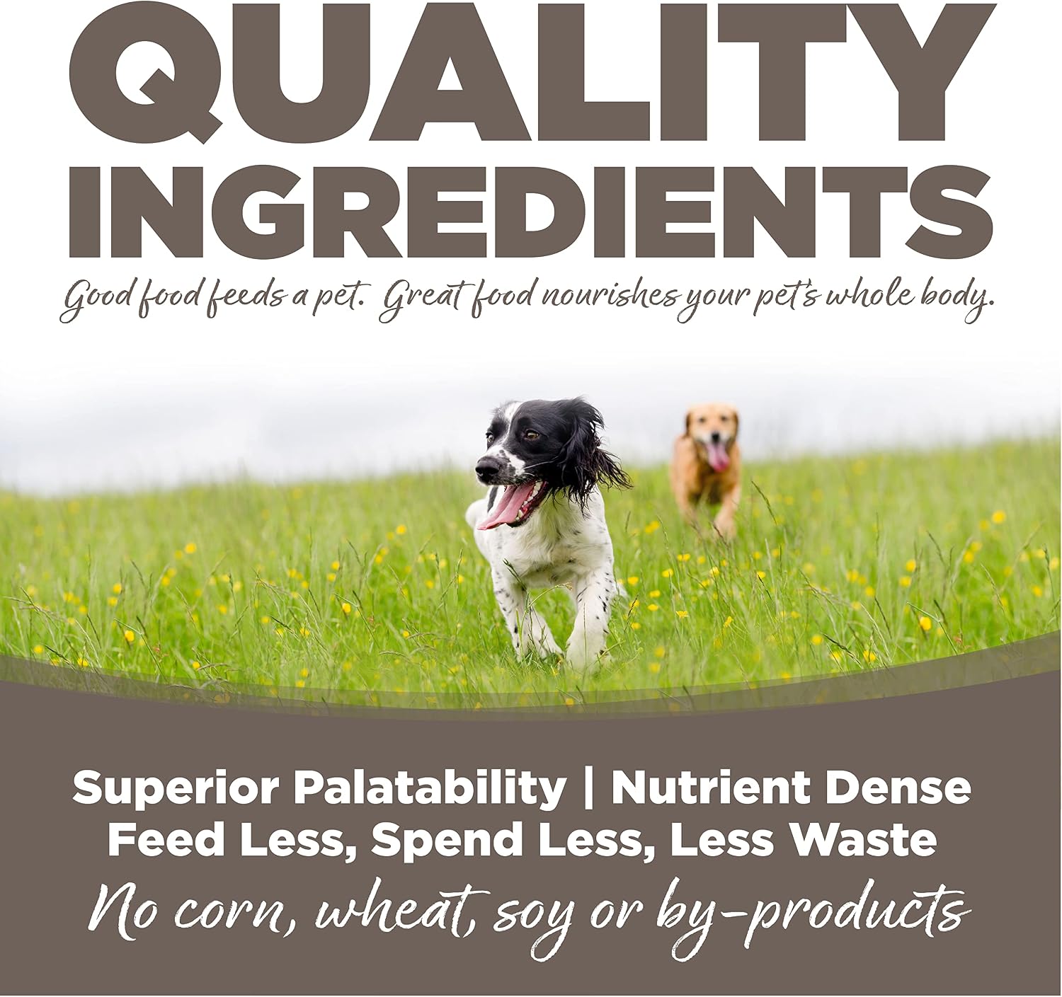 NutriSource Senior Dry Dog Food, Chicken & Rice, 26 lb | Probiotic & Prebiotic Support, Glucosamine & Chondroitin, Grain Inclusive, No Corn Wheat or Soy