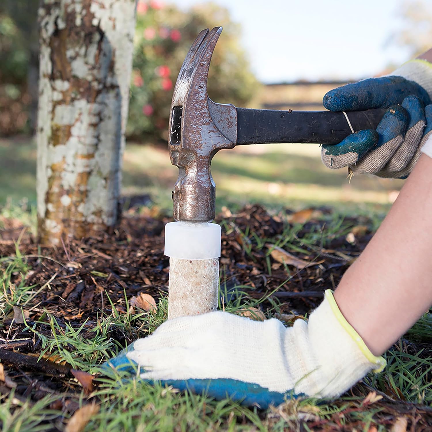 Jobe’s Slow Release Tree and Shrub Fertilizer Spikes, Easy Plant Care for Oak, Maple, Dogwood, Boxwood, and Many More Acid Loving Trees and Shrubs, 9 Count