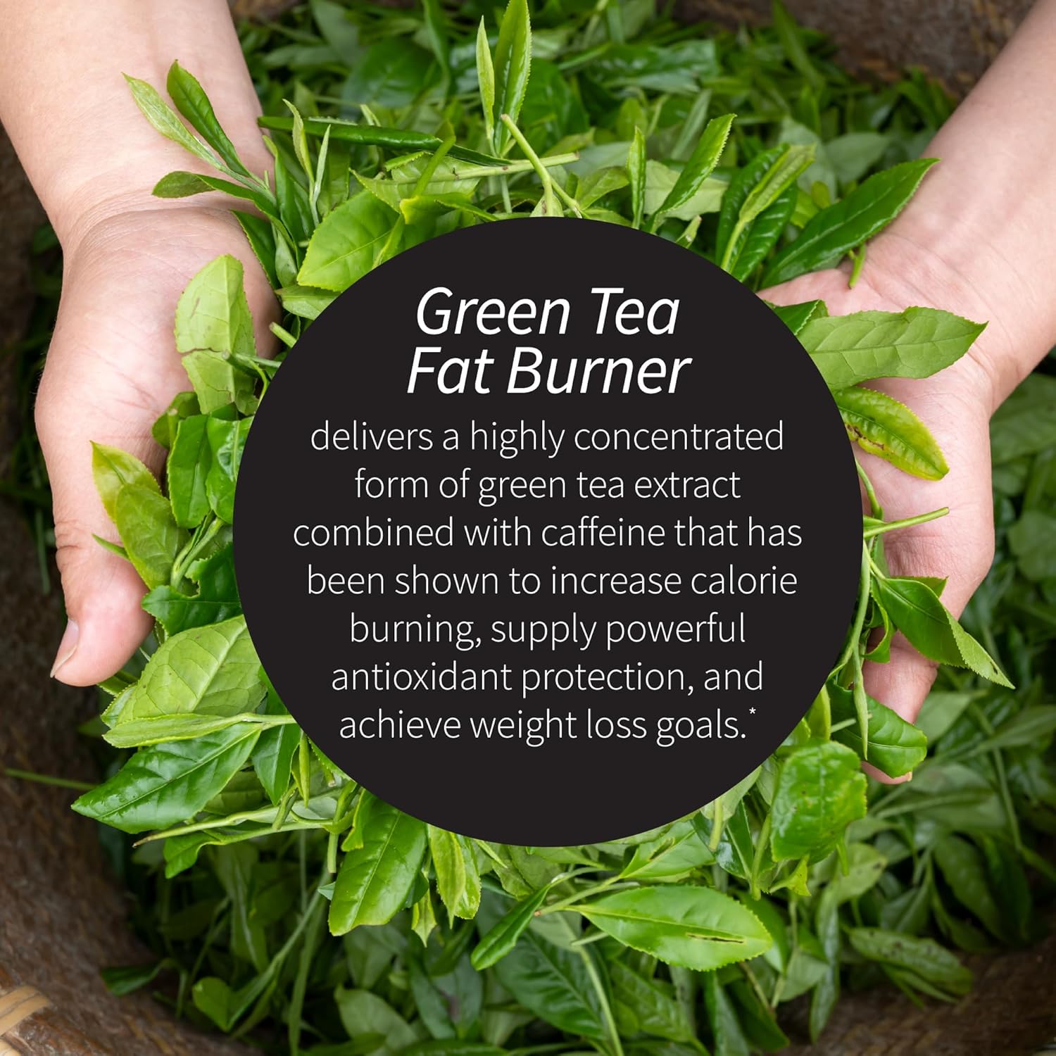 Applied Nutrition Green Tea Fat Burner Green Tea Extract 30 Liquid Softgels | Green Tea Extract with EGCG + Green Coffee Bean Extract | Supports Calorie Burn Energy & Antioxidant Defense | 30 Softgels