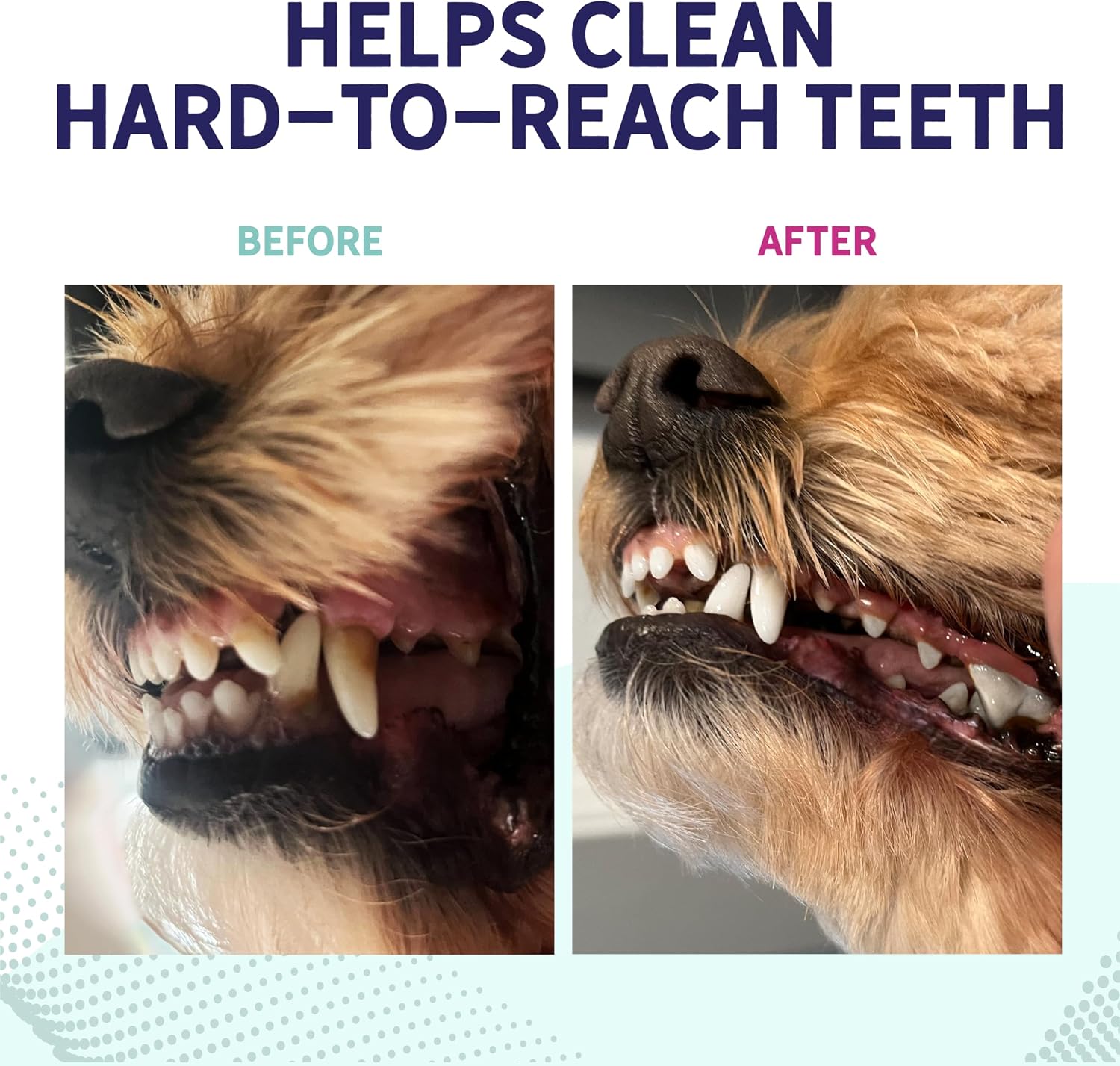 Health Extension Probiotic Dental Bones for Dogs, 14 Small Bones, Cleans Teeth, Healthy Gums, Freshens Breath, Training or Reward, 6 oz Bag (Pack of 1)