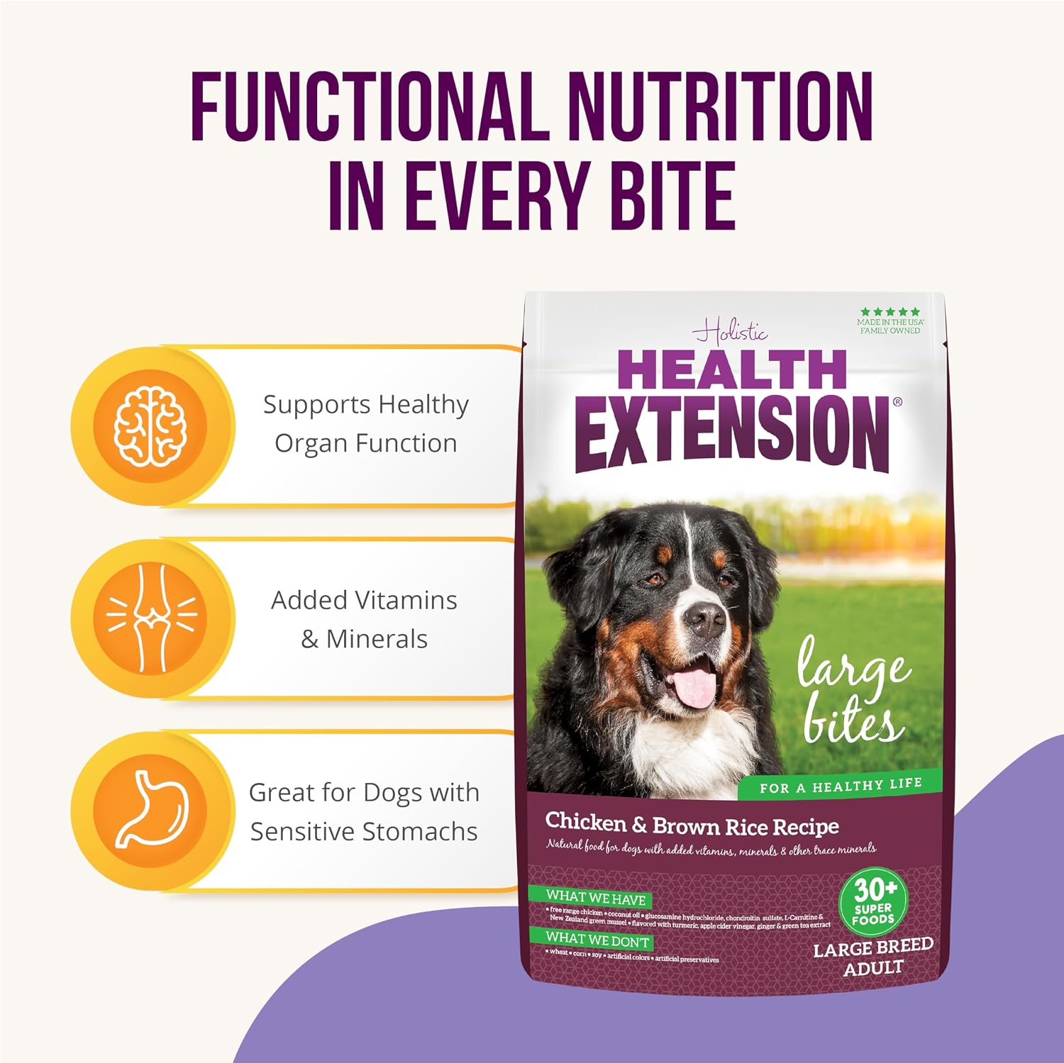 Health Extension Lamb & Brown Rice Dry Dog Food, Protein Packed Formula with Probiotics & Superfoods for Digestion & Coat Health (30 lb)