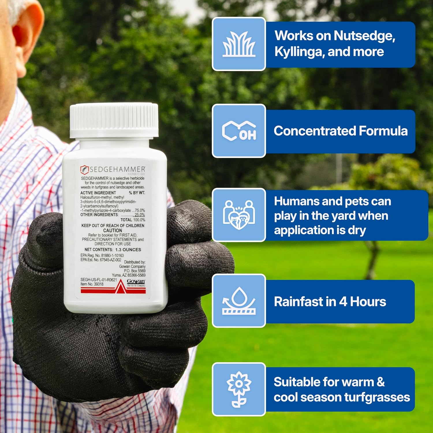 Sedgehammer 51516 Nutsedge Herbicide | Kills Yellow and Purple Nutsedge, Green Kyllinga, Selective Weed Killer for Lawns, Gardens and Landscapes