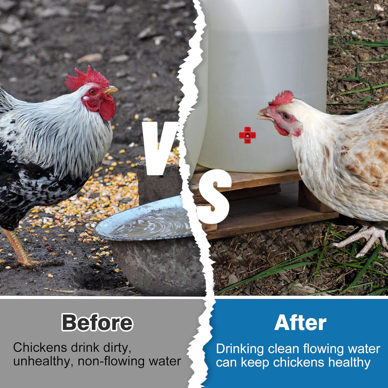 20 Pack Chicken Waterer Nipples for Chicks to Chickens with Drill Bits | Water Saving Design, Easy Install Leakproof Poultry Watering System, Chicken Coop Accessories, Quail Water Feeder